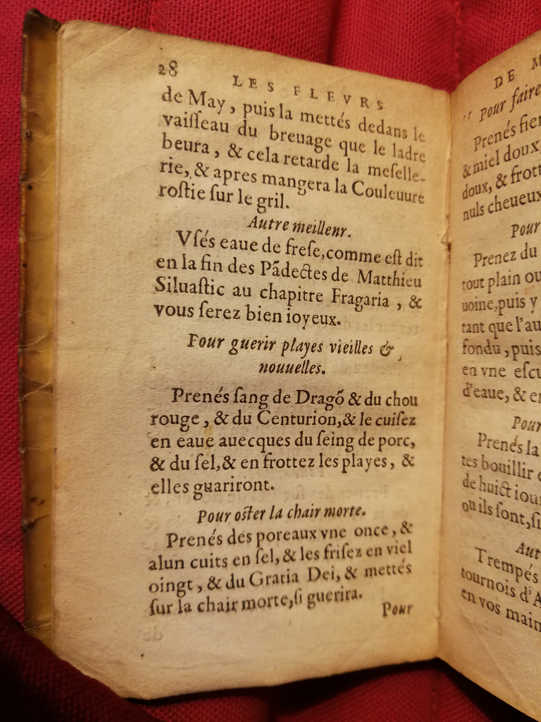 1586 - Benoît Rigaud - Trésor des fleurs et secrets de médecine - Sainte-Geneviève