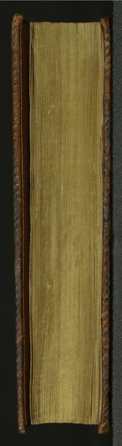 1564 - Vincent Norment et Jeanne Bruneau - Trésor des Amadis - BnF