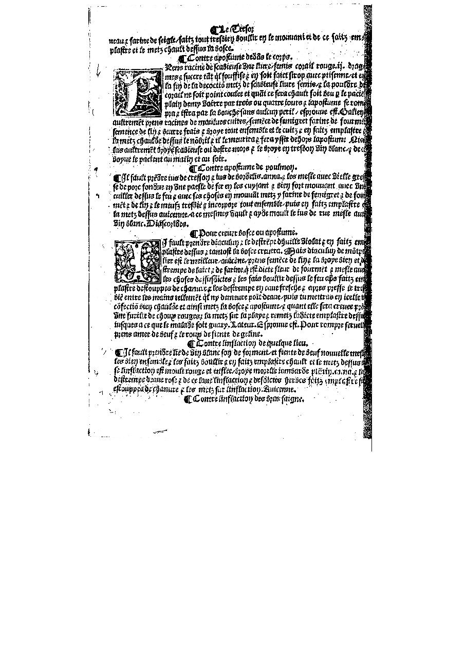 1567 - Olivier Arnoullet - Trésor des pauvres - BM Lyon