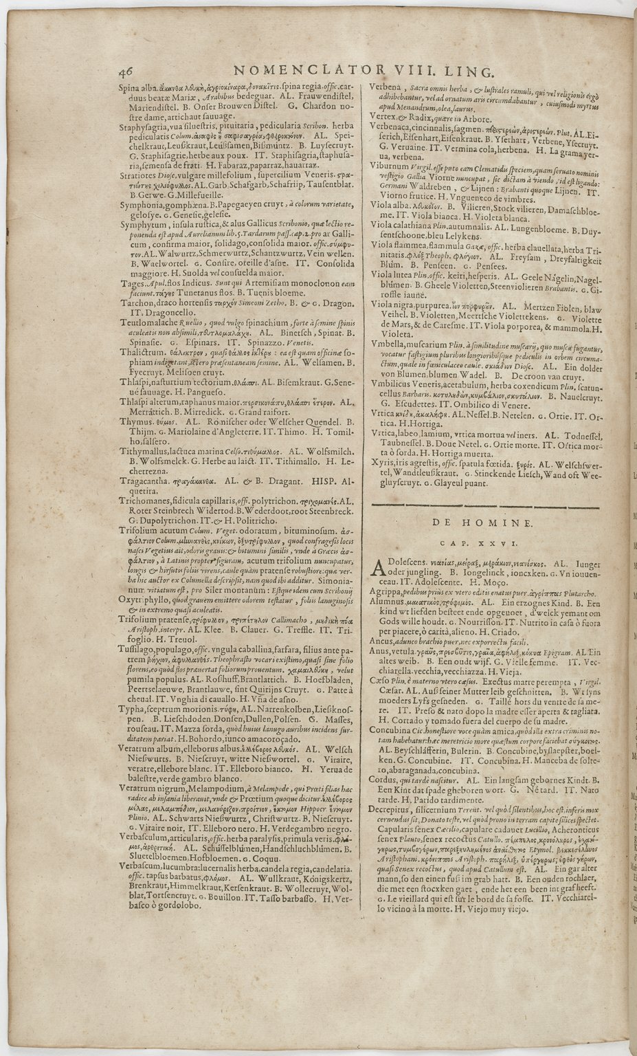 1606 - David Douceur - Trésor de la langue française - BnF
