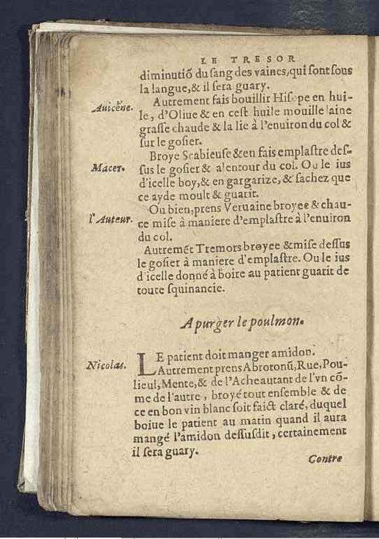 1590 - Benoît Rigaud - Trésor des pauvres - Mucem 1590 - Benoît Rigaud - Trésor des pauvres - Mucem