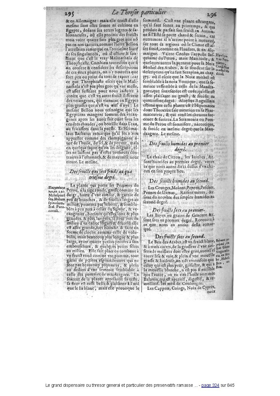 1609 - Étienne Gamonet - Grand dispensaire ou Trésor général et particulier des préservatifs - BIU Santé 1609 - Étienne Gamonet - Grand dispensaire ou Trésor général et particulier des préservatifs - BIU Santé