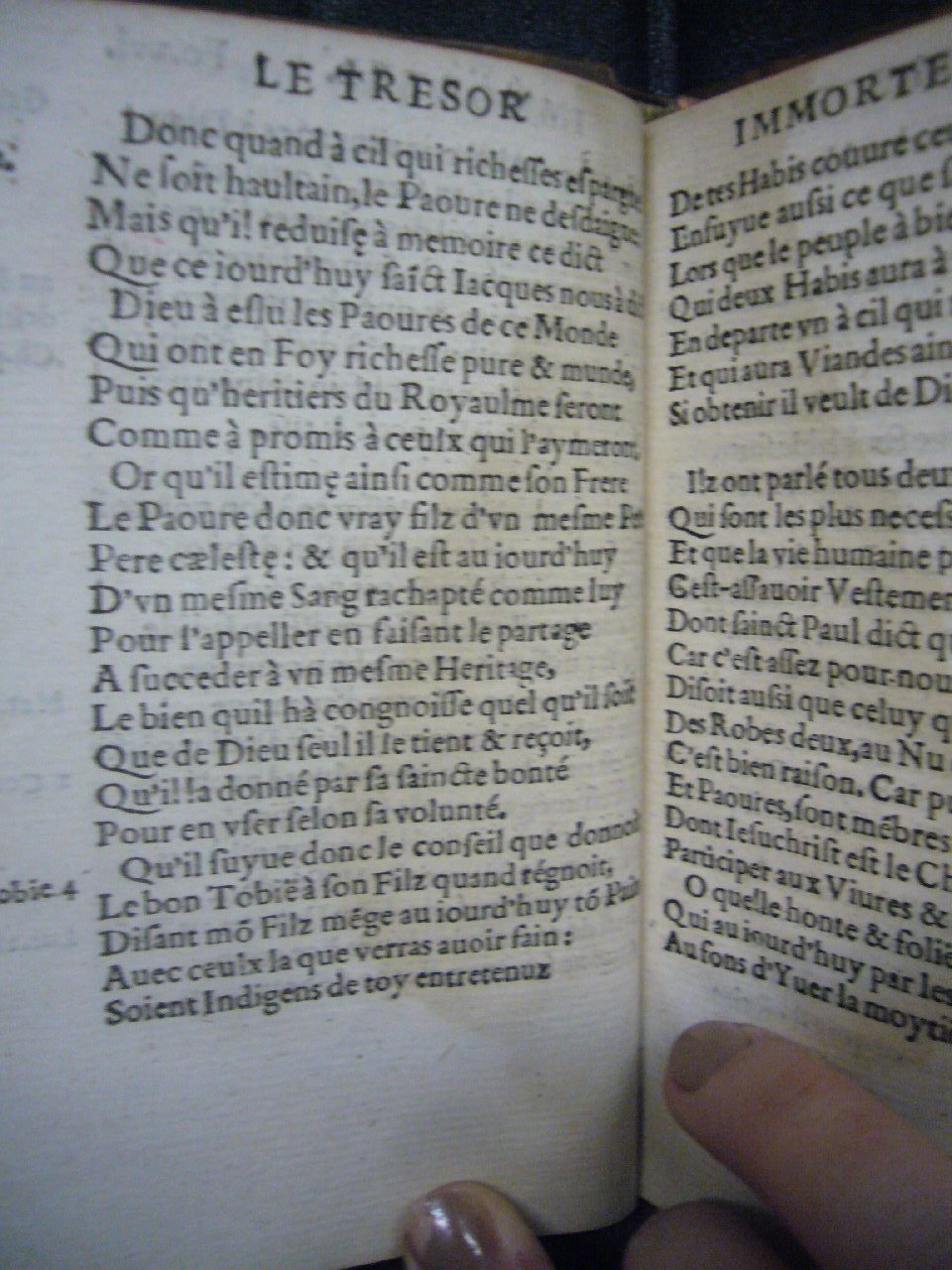 1556 - Nicolas Aubin et Martin le Mesgissier  - Trésor immortel - Versailles
