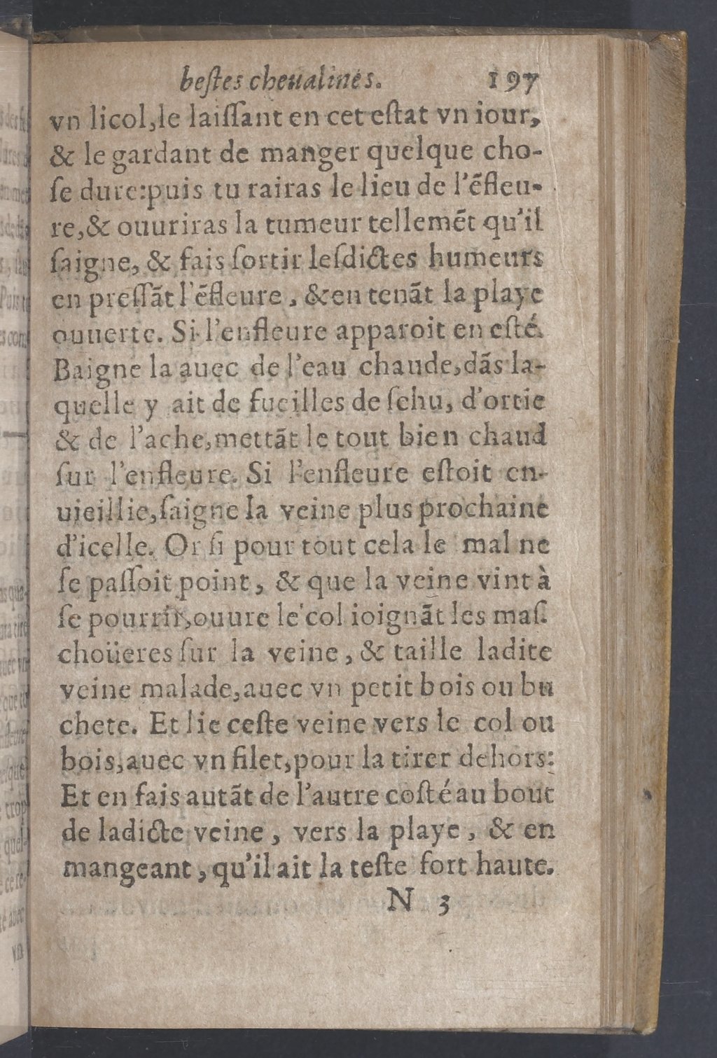 1619 - Pierre Rigaud - Trésor des bêtes chevalines - BnF