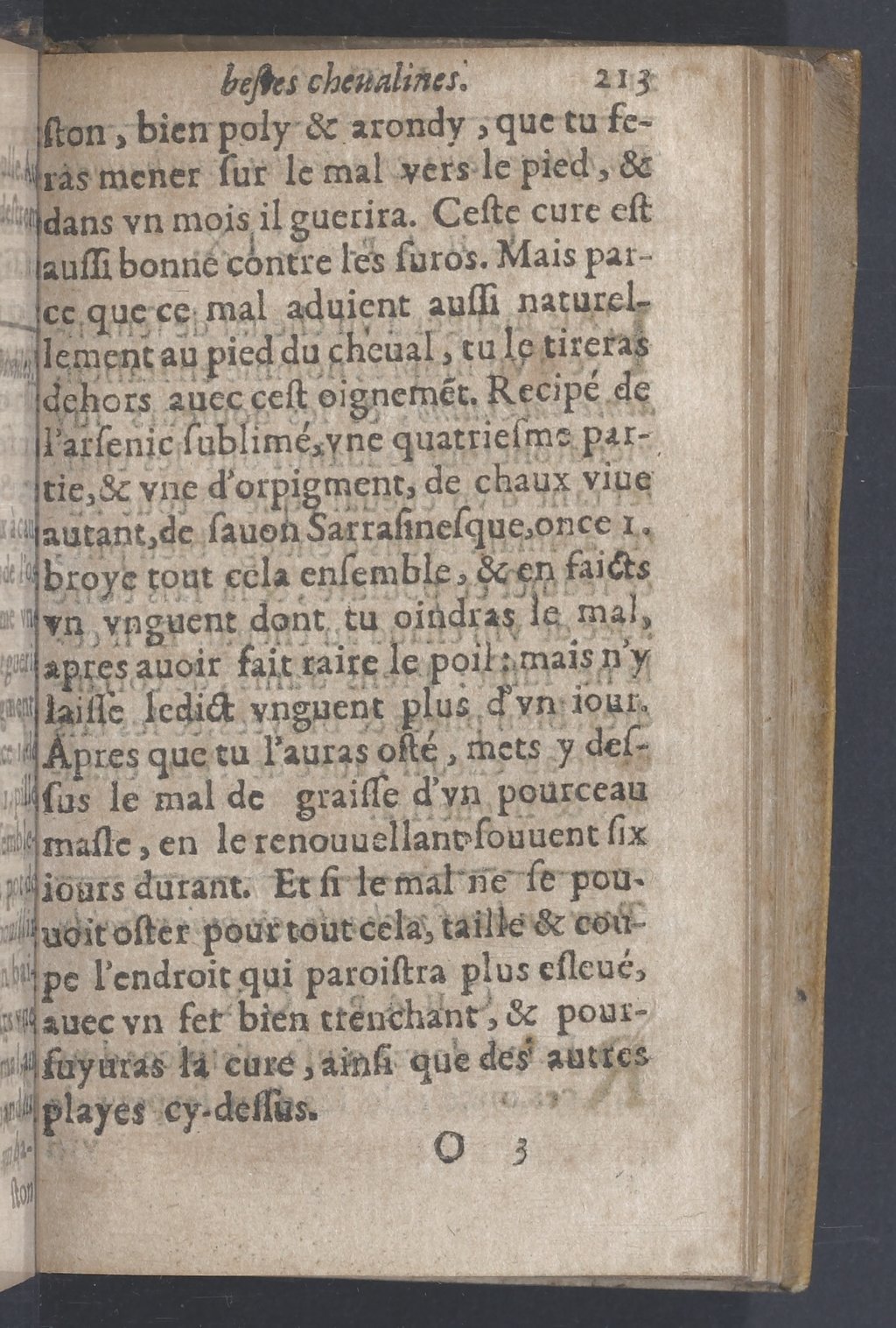 1619 - Pierre Rigaud - Trésor des bêtes chevalines - BnF 1619 - Pierre Rigaud - Trésor des bêtes chevalines - BnF