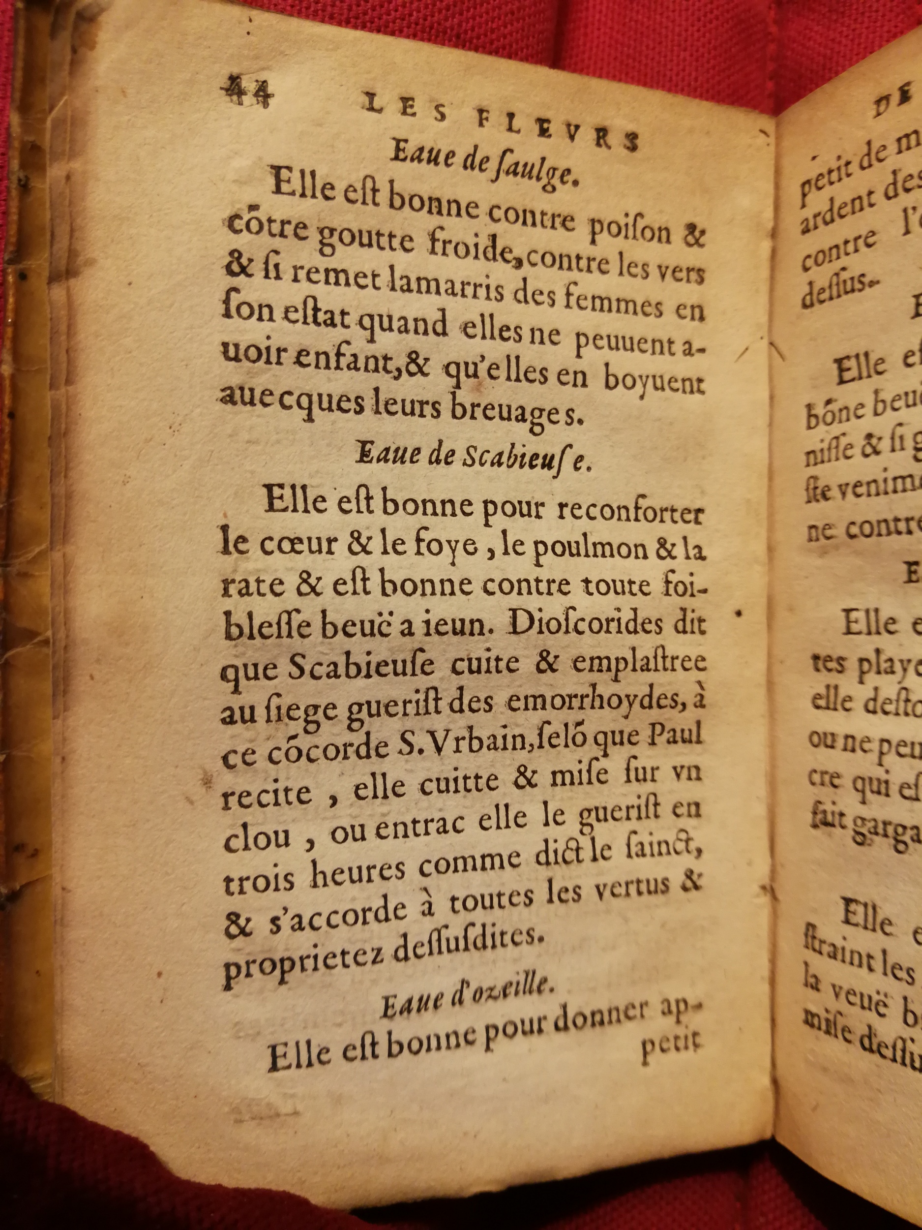 1586 - Benoît Rigaud - Trésor des fleurs et secrets de médecine - Sainte-Geneviève