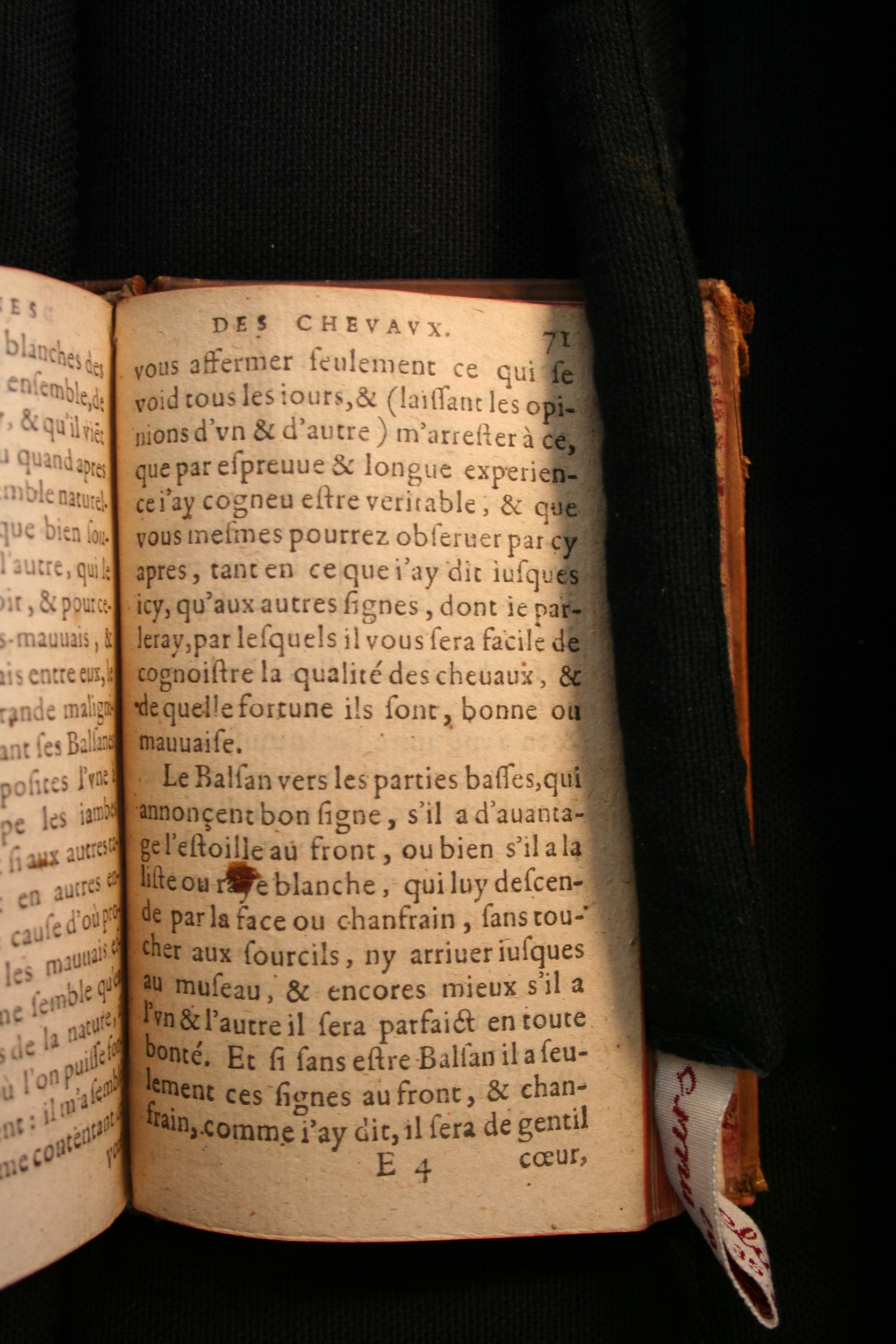 1591 - Pierre Chastaing et Benoît Rigaud - Trésor des bêtes chevalines - BM Bordeaux