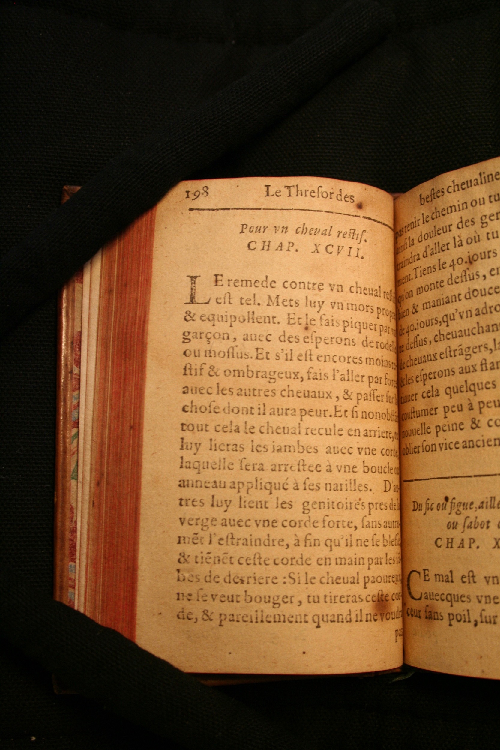 1591 - Pierre Chastaing et Benoît Rigaud - Trésor des bêtes chevalines - BM Bordeaux