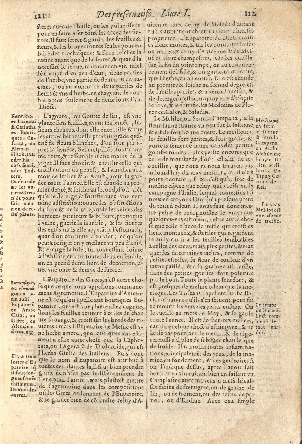 1610 - Étienne Gamonet - Grand Trésor ou dispensaire - CESR Tours 1610 - Étienne Gamonet - Grand Trésor ou dispensaire - CESR Tours