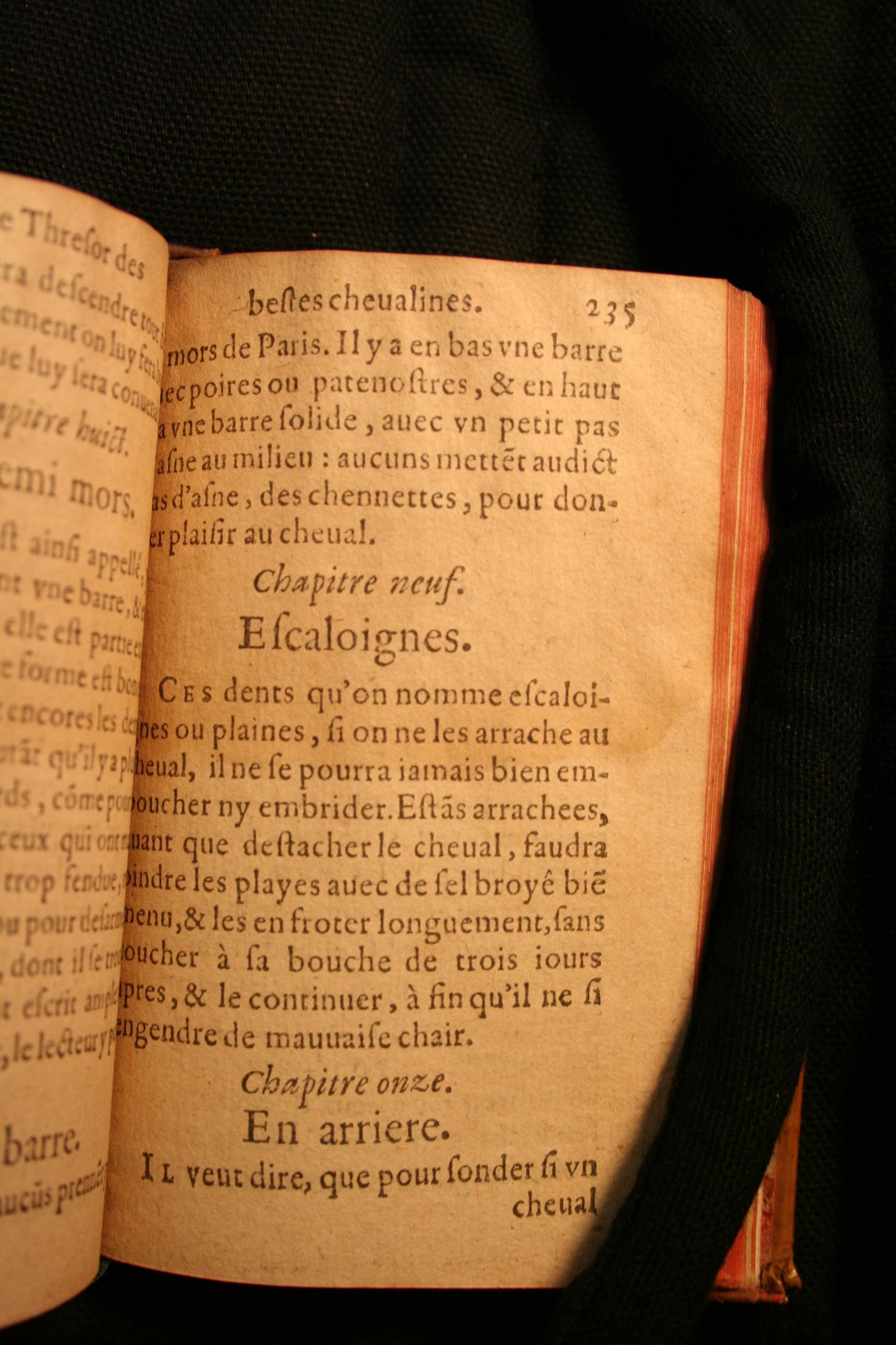 1591 - Pierre Chastaing et Benoît Rigaud - Trésor des bêtes chevalines - BM Bordeaux