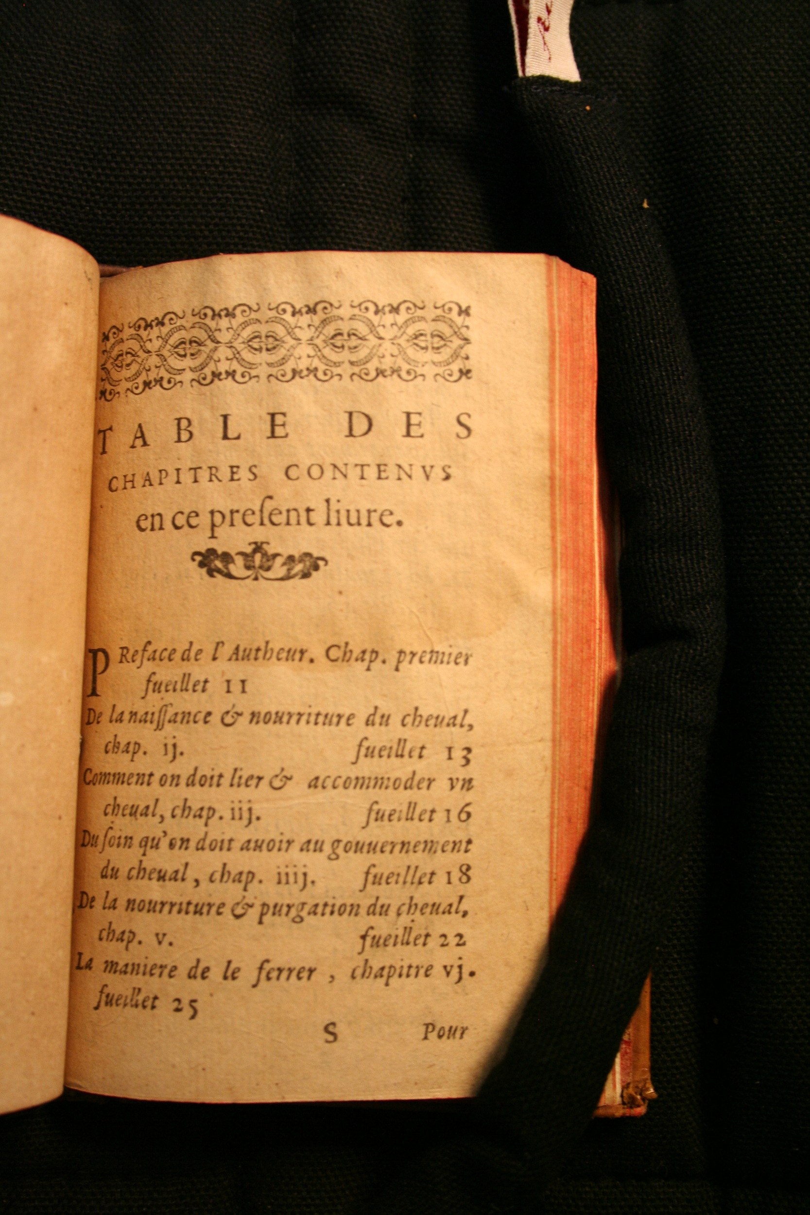 1591 - Pierre Chastaing et Benoît Rigaud - Trésor des bêtes chevalines - BM Bordeaux
