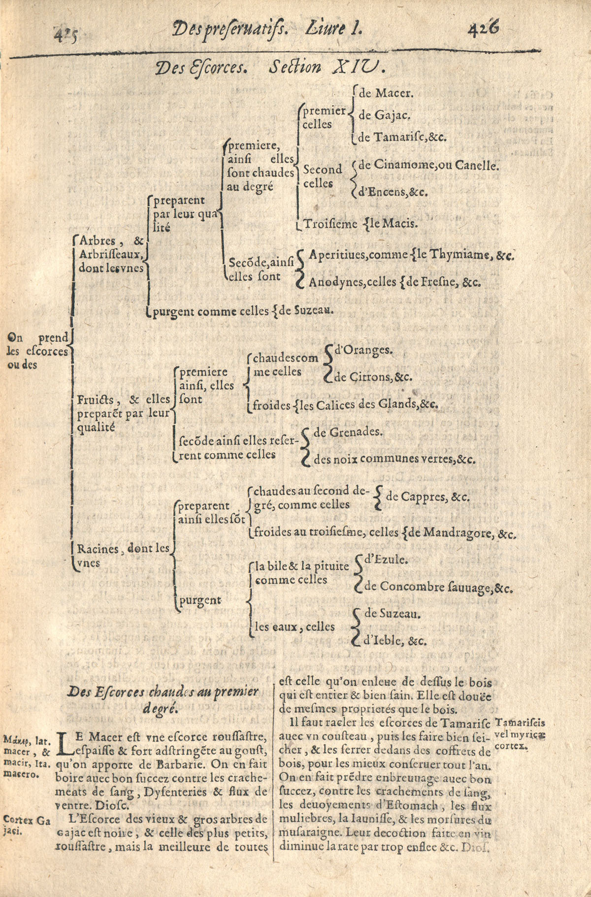 1610 - Étienne Gamonet - Grand Trésor ou dispensaire - CESR Tours