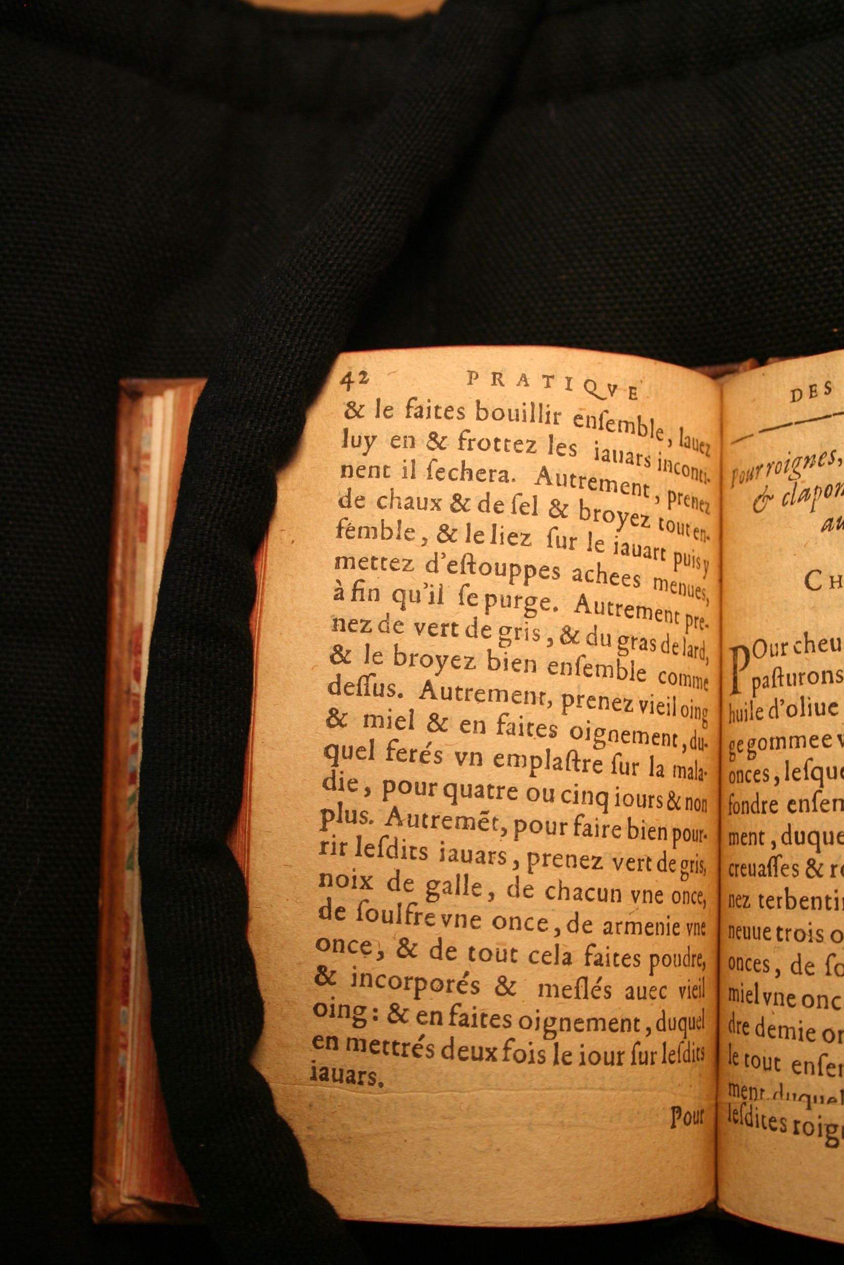 1591 - Pierre Chastaing et Benoît Rigaud - Trésor des bêtes chevalines - BM Bordeaux