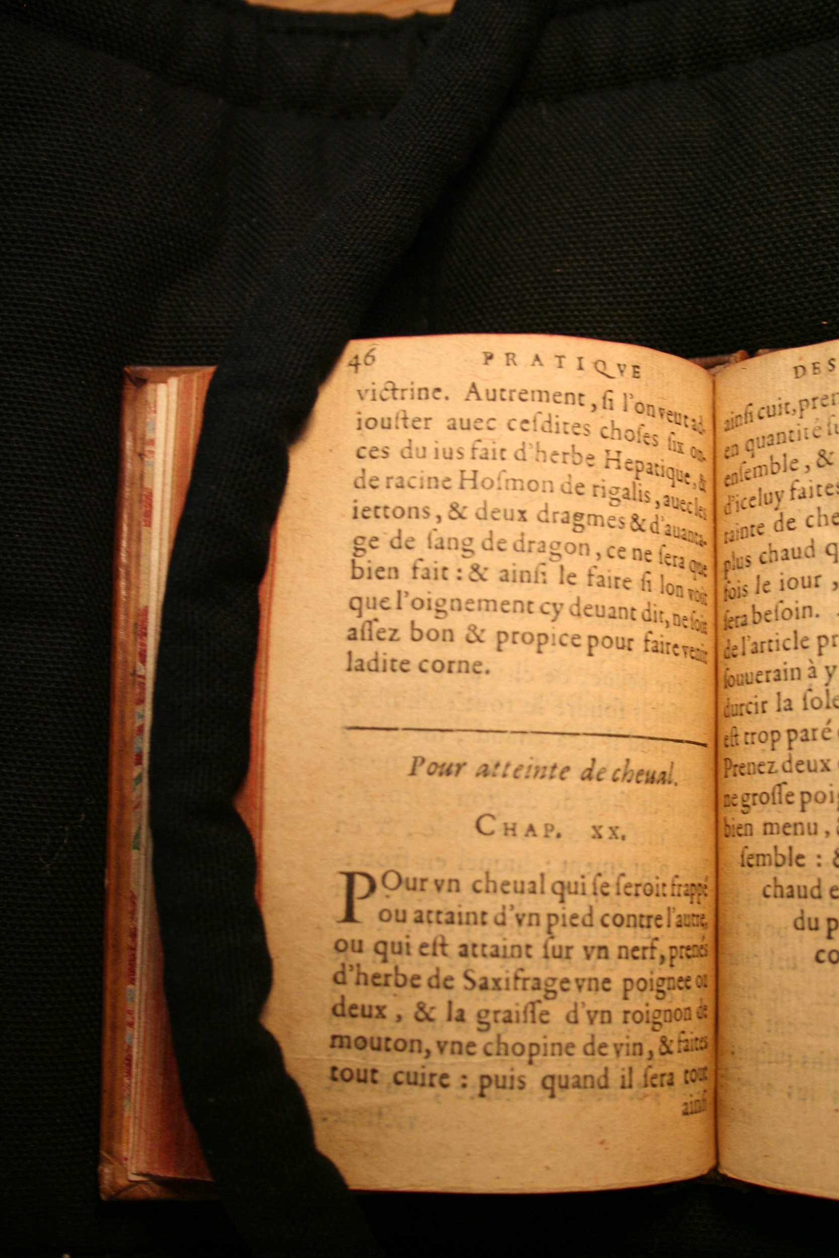 1591 - Pierre Chastaing et Benoît Rigaud - Trésor des bêtes chevalines - BM Bordeaux