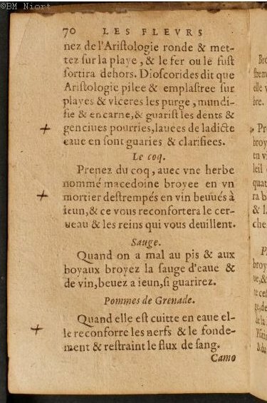 1586 - Benoît Rigaud - Trésor des fleurs et secrets de médecine - Université Paris Cité