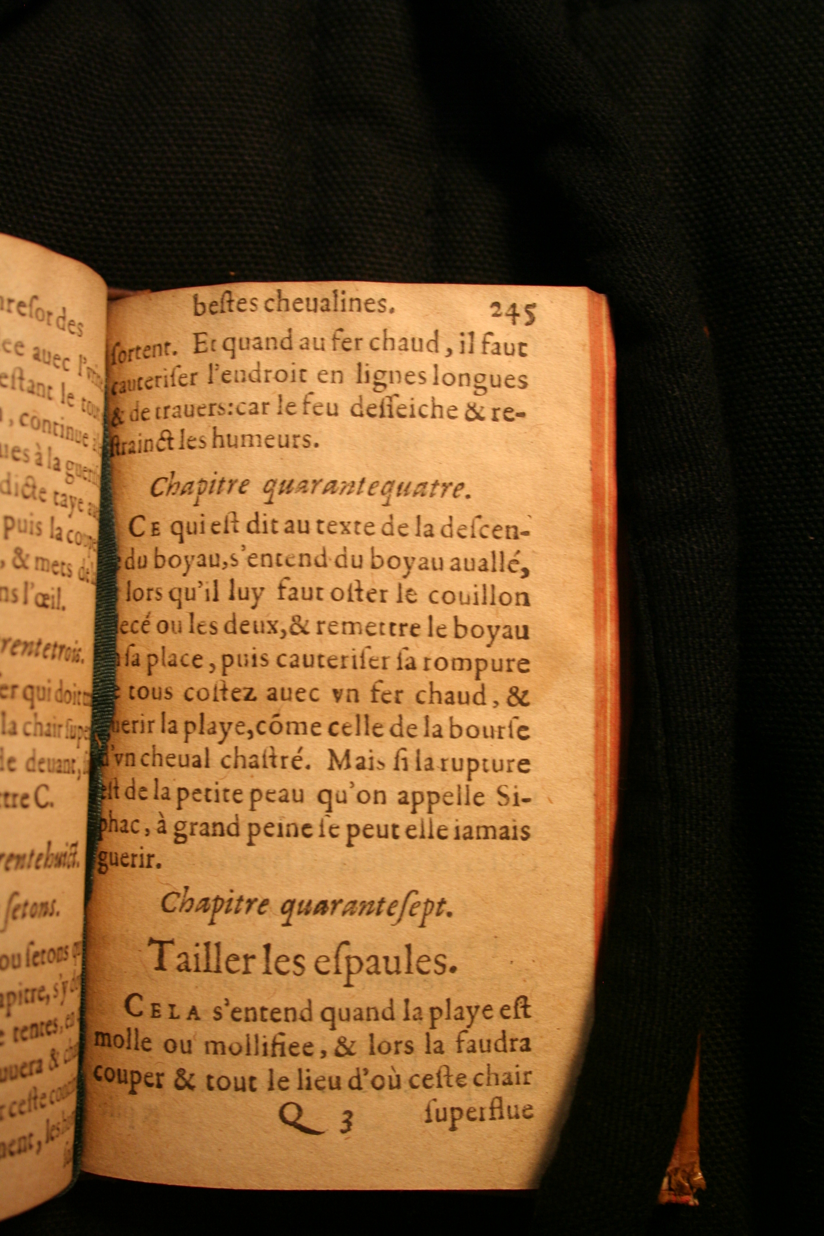 1591 - Pierre Chastaing et Benoît Rigaud - Trésor des bêtes chevalines - BM Bordeaux