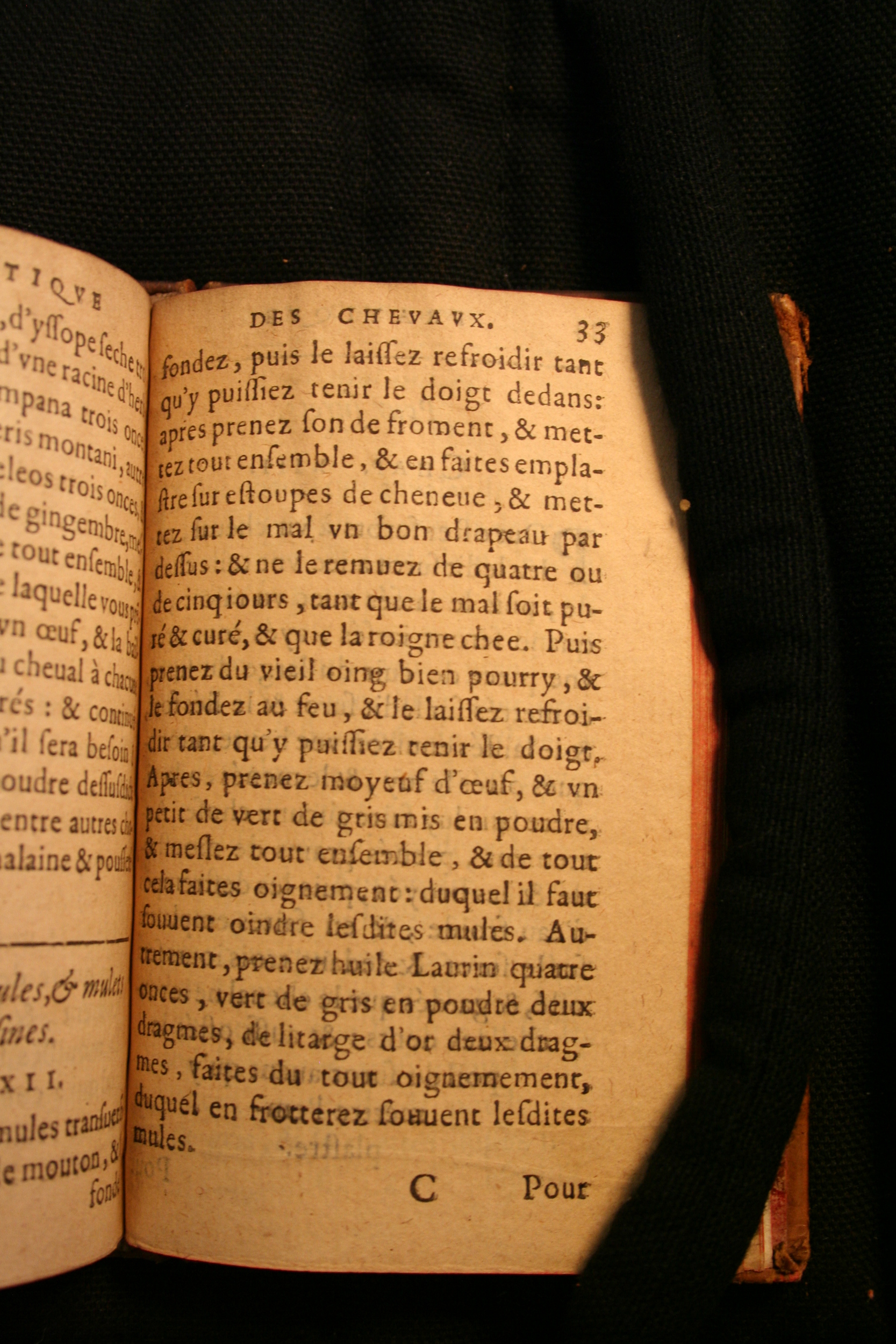 1591 - Pierre Chastaing et Benoît Rigaud - Trésor des bêtes chevalines - BM Bordeaux