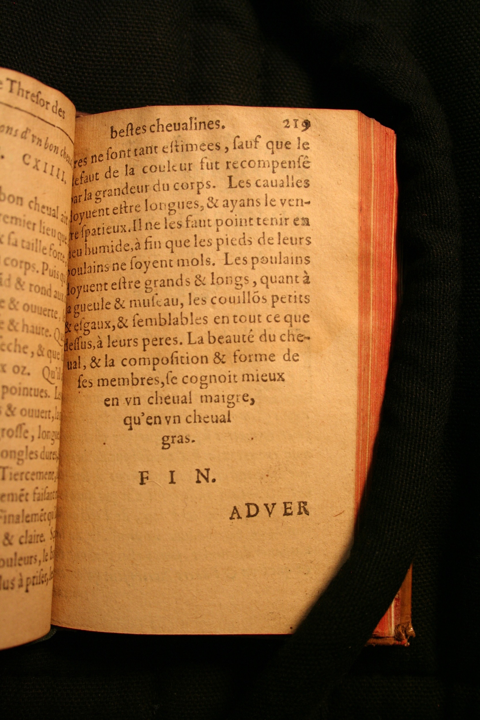1591 - Pierre Chastaing et Benoît Rigaud - Trésor des bêtes chevalines - BM Bordeaux