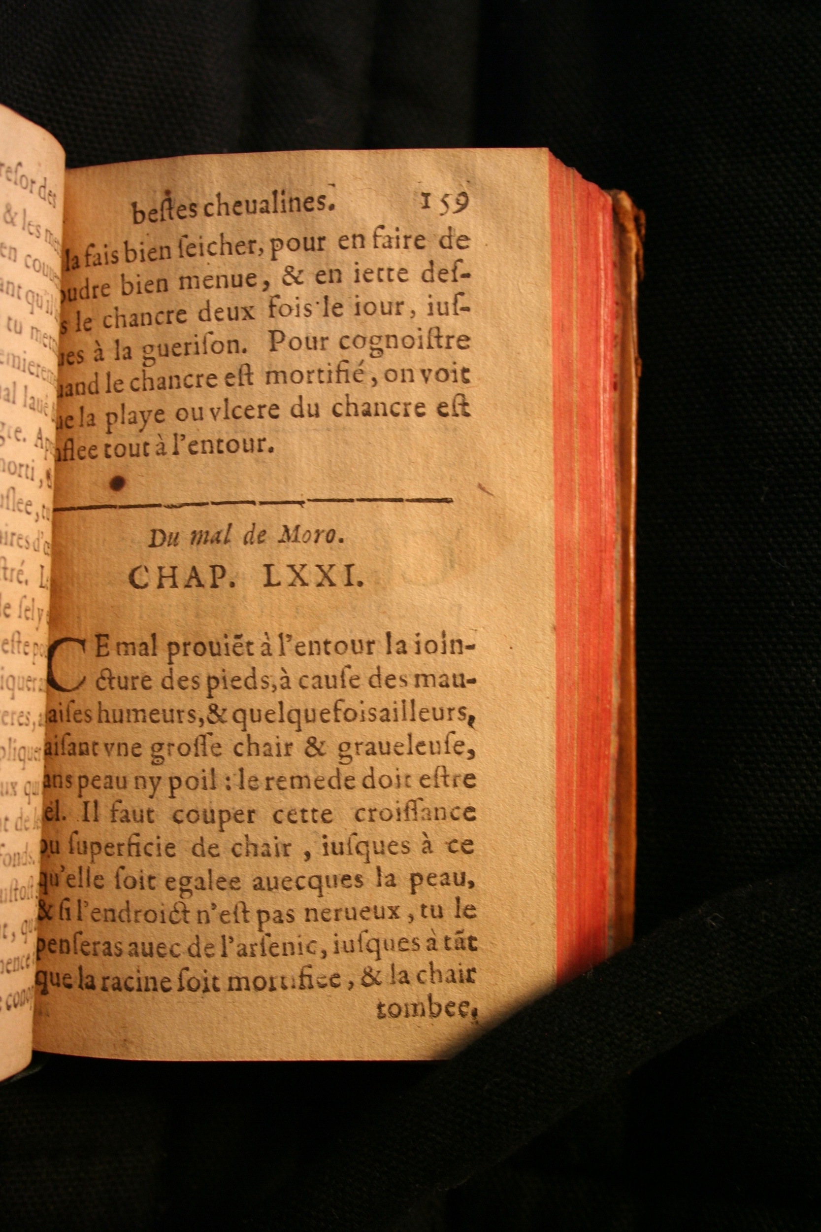 1591 - Pierre Chastaing et Benoît Rigaud - Trésor des bêtes chevalines - BM Bordeaux