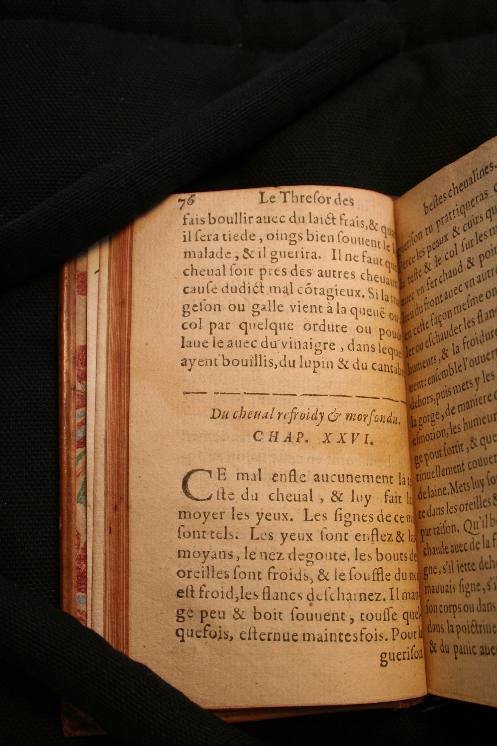1591 - Pierre Chastaing et Benoît Rigaud - Trésor des bêtes chevalines - BM Bordeaux