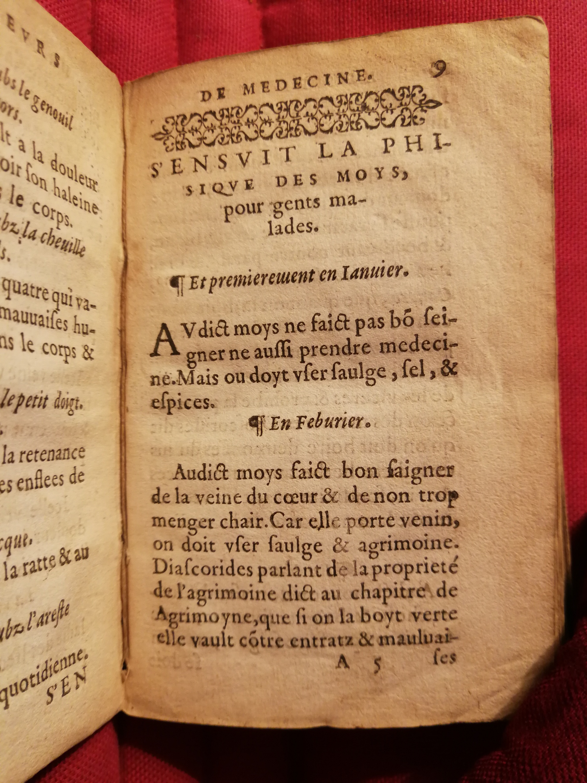 1586 - Benoît Rigaud - Trésor des fleurs et secrets de médecine - Sainte-Geneviève