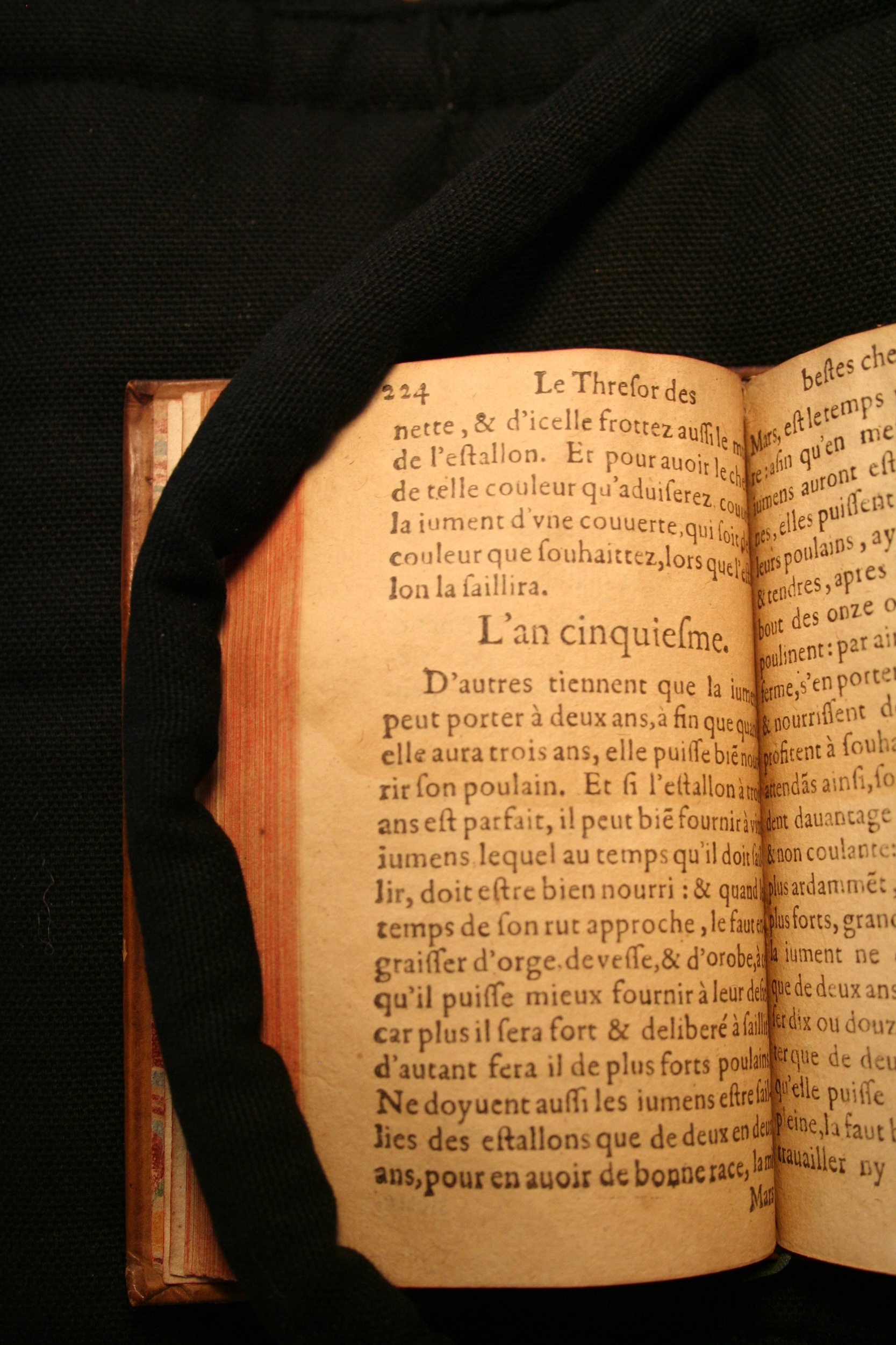 1591 - Pierre Chastaing et Benoît Rigaud - Trésor des bêtes chevalines - BM Bordeaux
