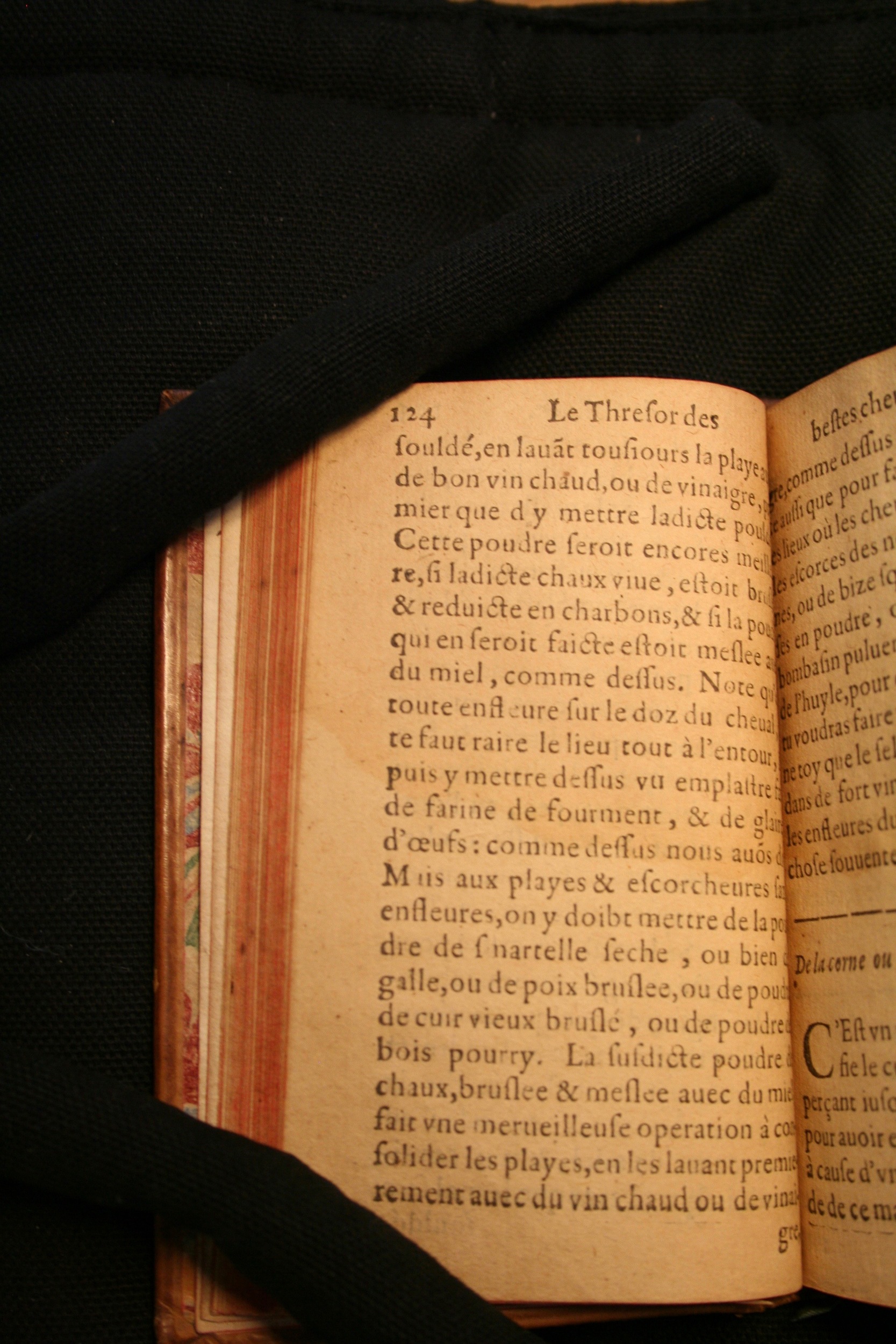 1591 - Pierre Chastaing et Benoît Rigaud - Trésor des bêtes chevalines - BM Bordeaux
