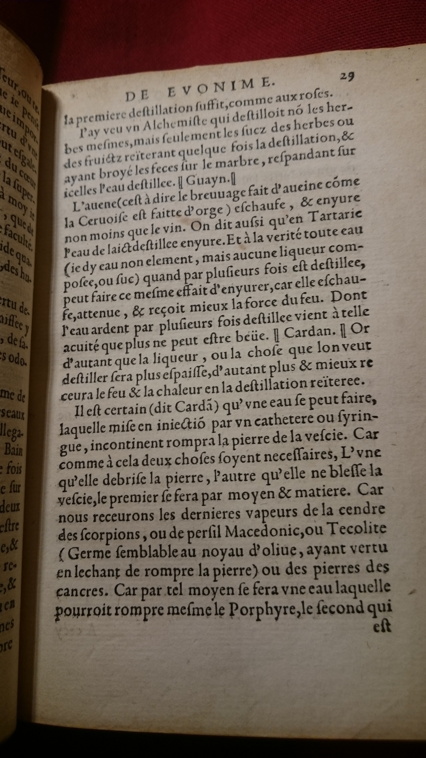 1557 - Veuve Balthazar Arnoullet - Trésor d’Évonyme Philiatre - BnF