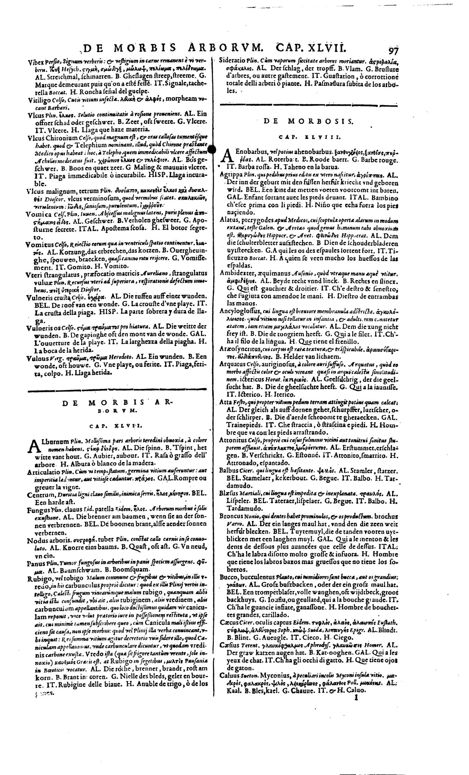 1606 - David Douceur - Trésor de la langue française - BM Lyon
