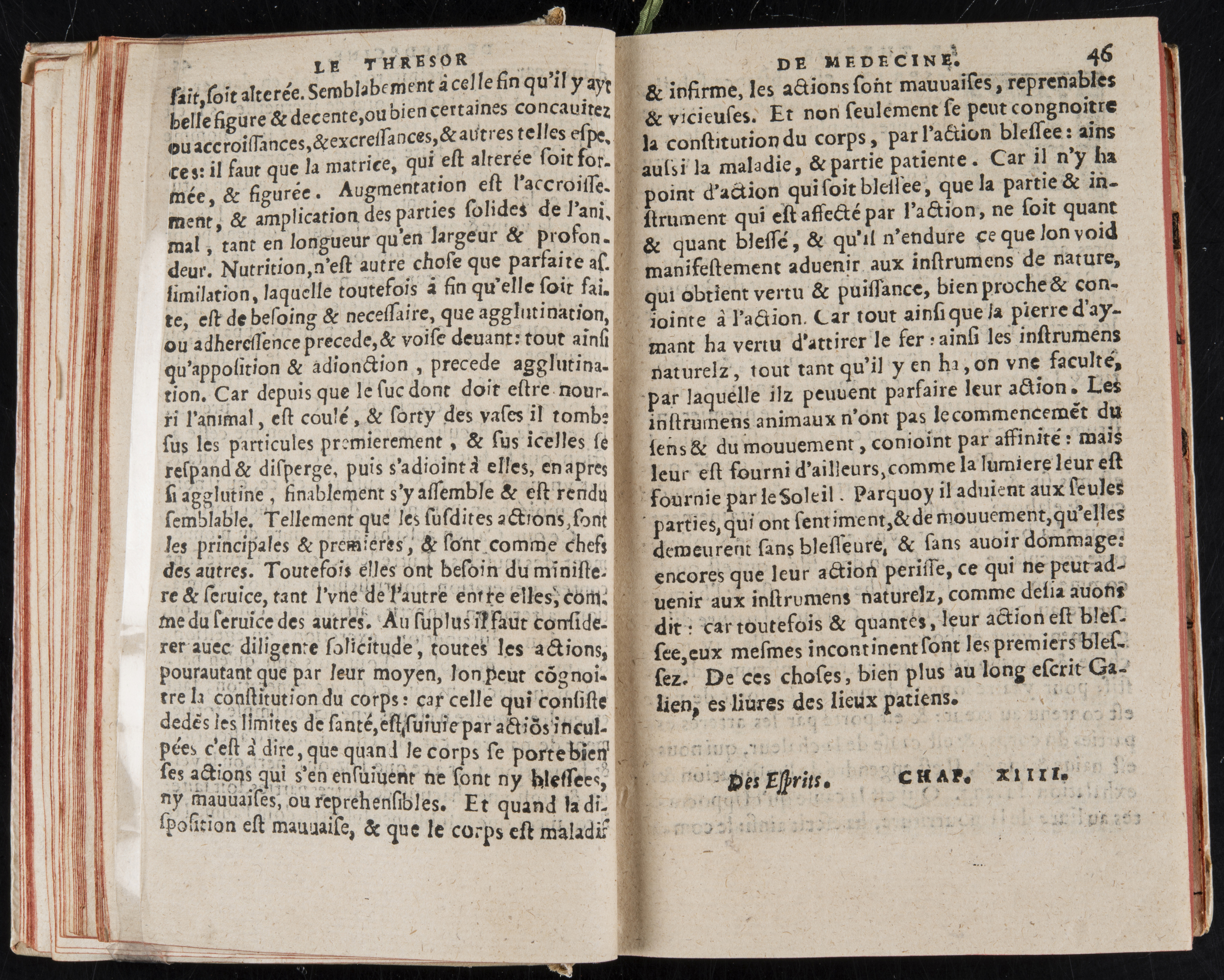 1560 - Nicolas Pelletier - Trésor de médecine - BM Poitiers