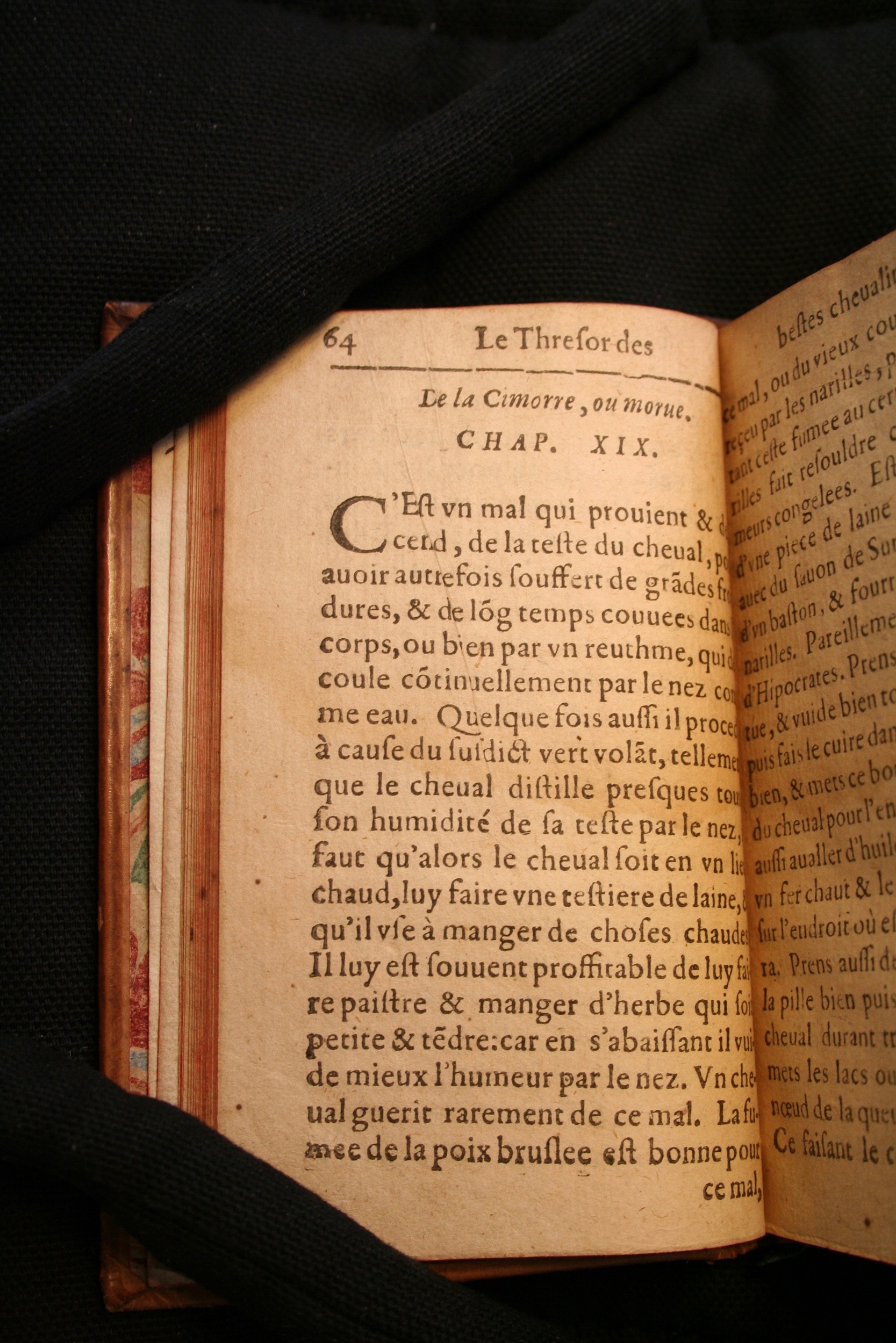 1591 - Pierre Chastaing et Benoît Rigaud - Trésor des bêtes chevalines - BM Bordeaux