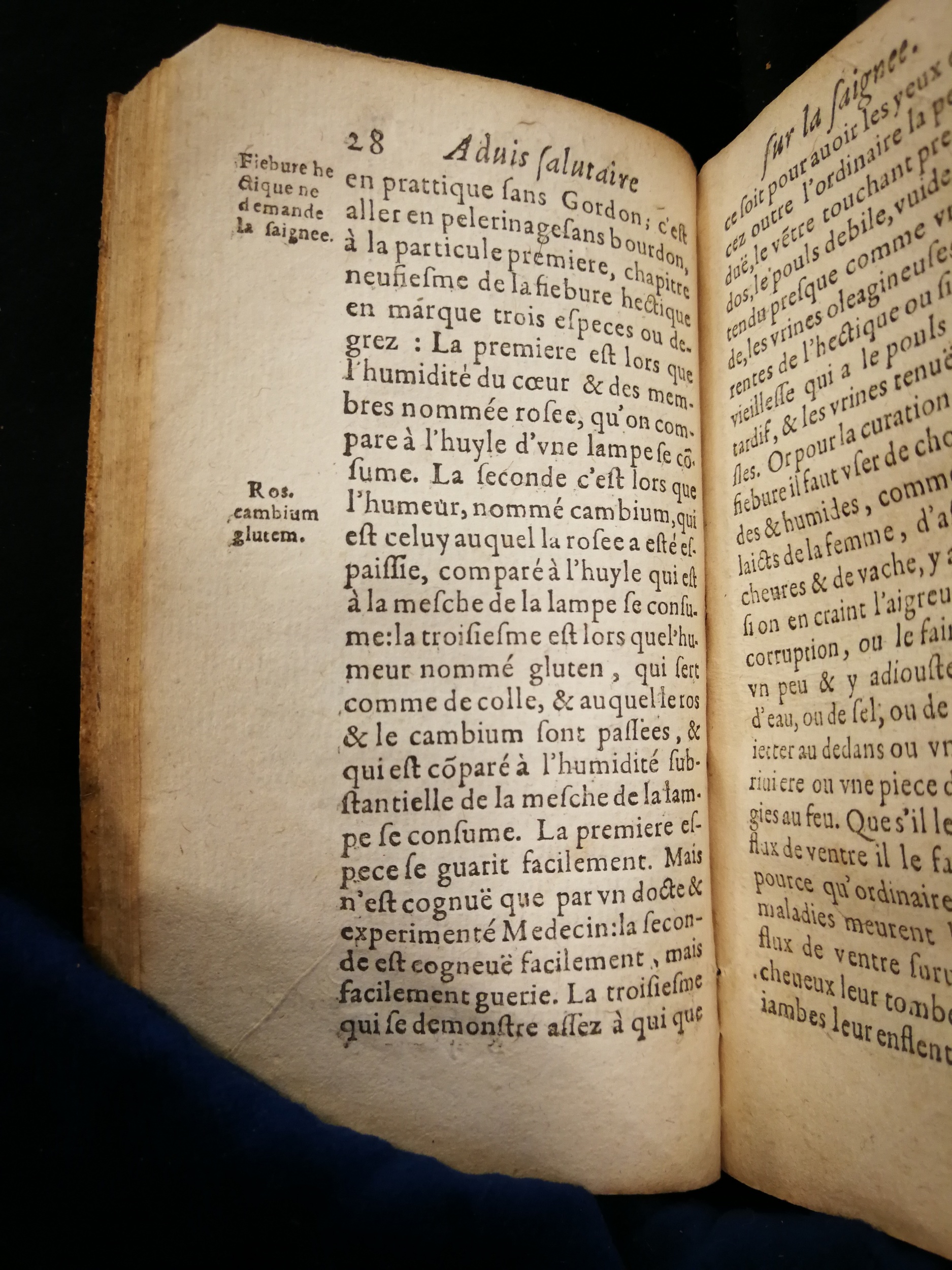 1624 - Jean Moreau - Conservation du trésor de la santé - Les Méjanes, Aix-en-Provence