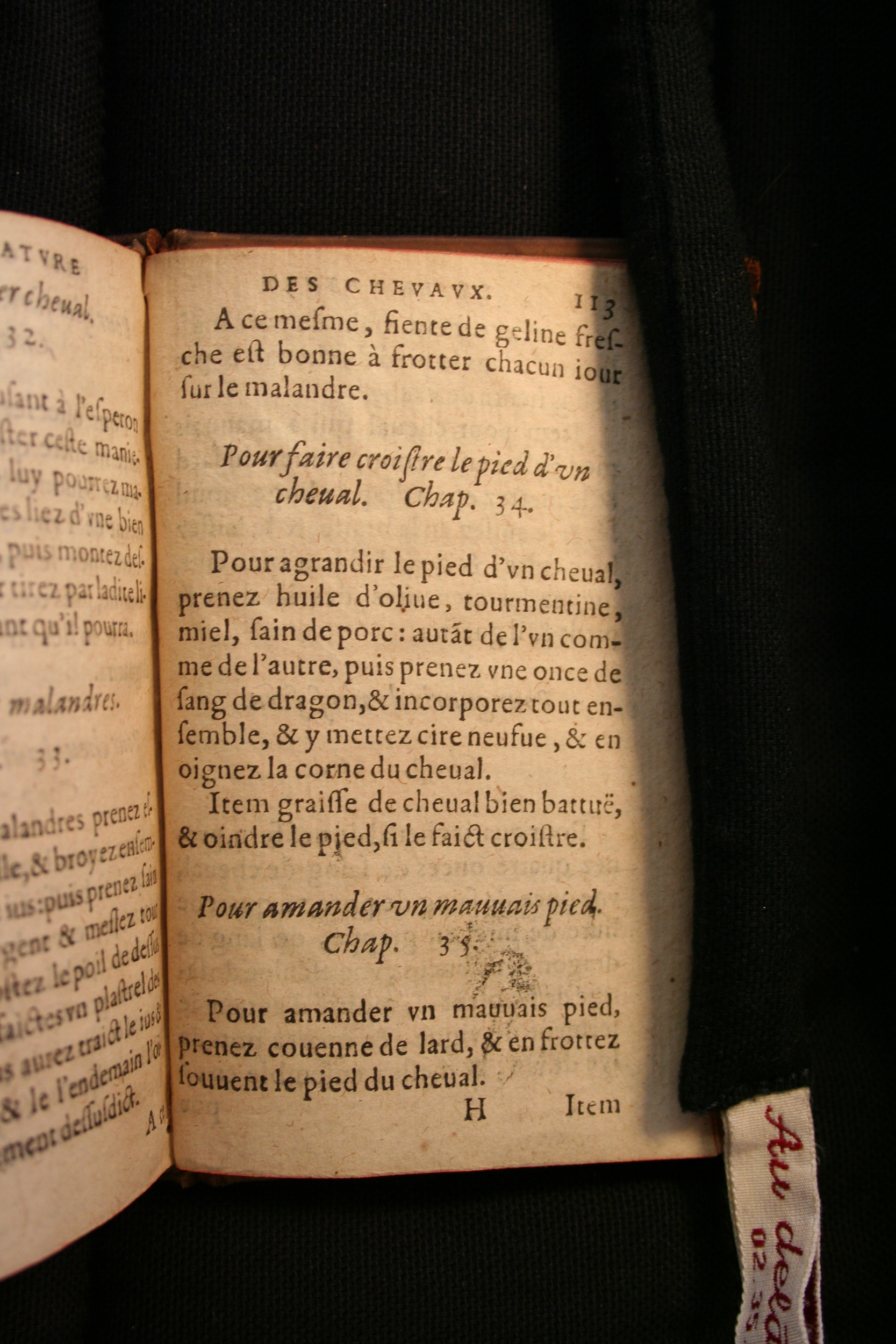 1591 - Pierre Chastaing et Benoît Rigaud - Trésor des bêtes chevalines - BM Bordeaux