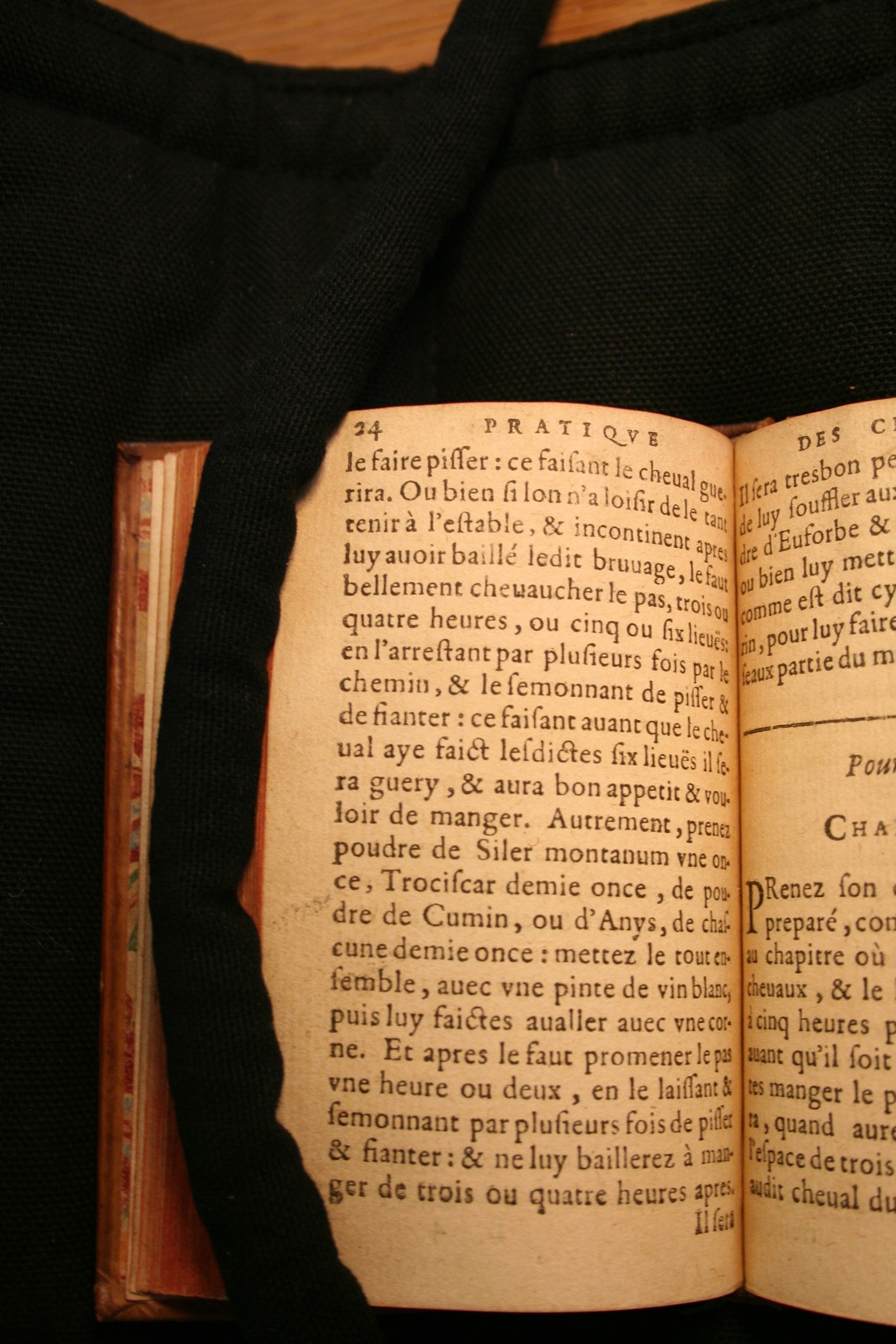 1591 - Pierre Chastaing et Benoît Rigaud - Trésor des bêtes chevalines - BM Bordeaux