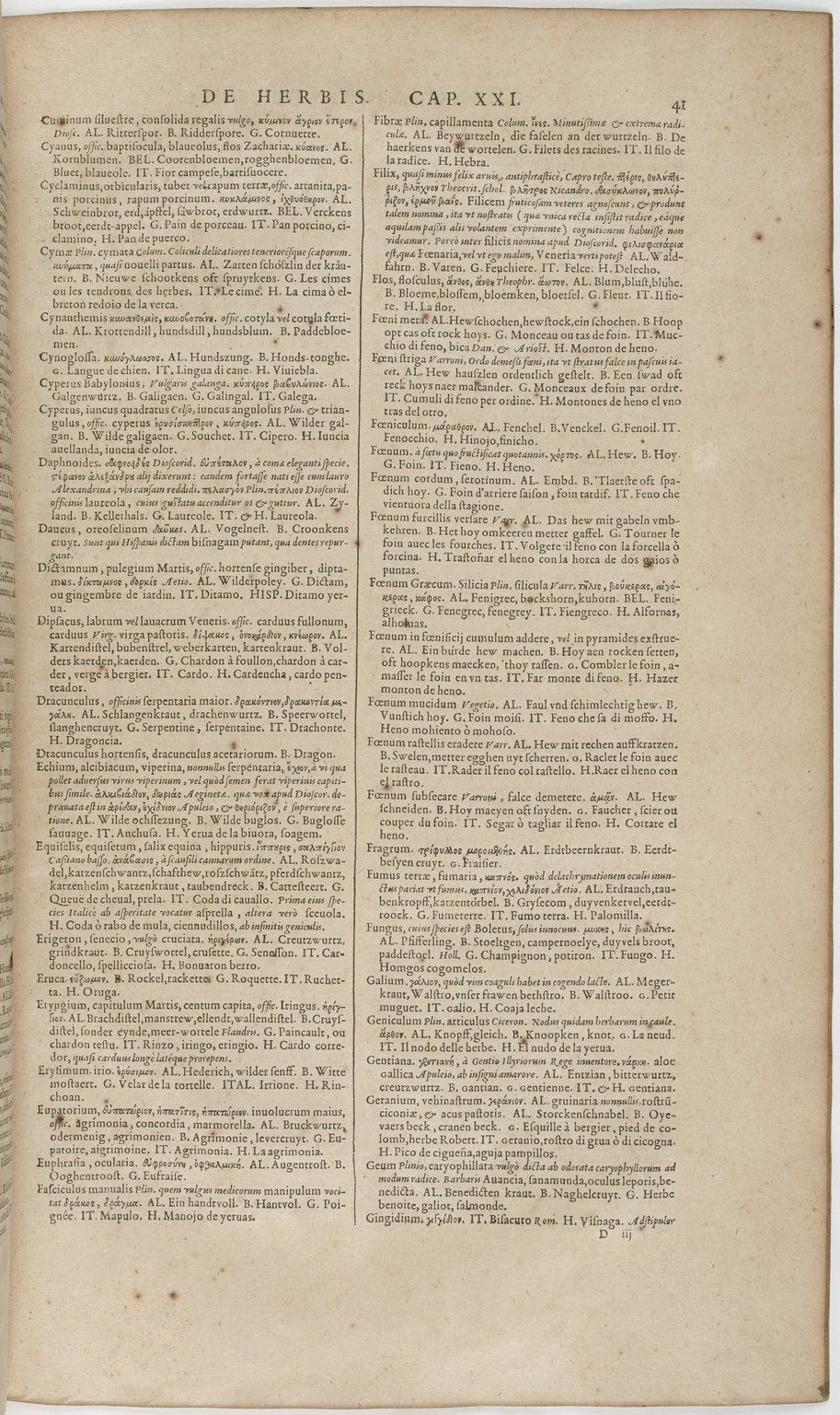 1606 - David Douceur - Trésor de la langue française - BnF