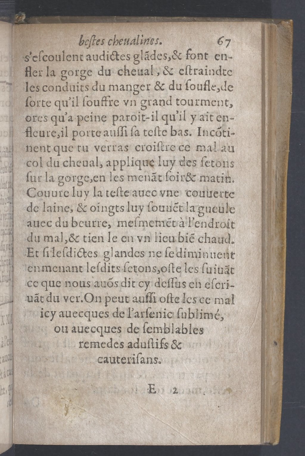 1619 - Pierre Rigaud - Trésor des bêtes chevalines - BnF