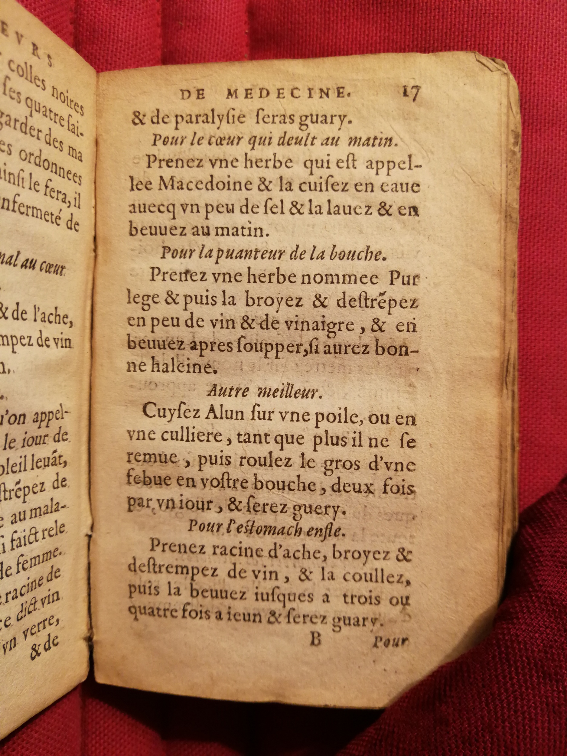 1586 - Benoît Rigaud - Trésor des fleurs et secrets de médecine - Sainte-Geneviève