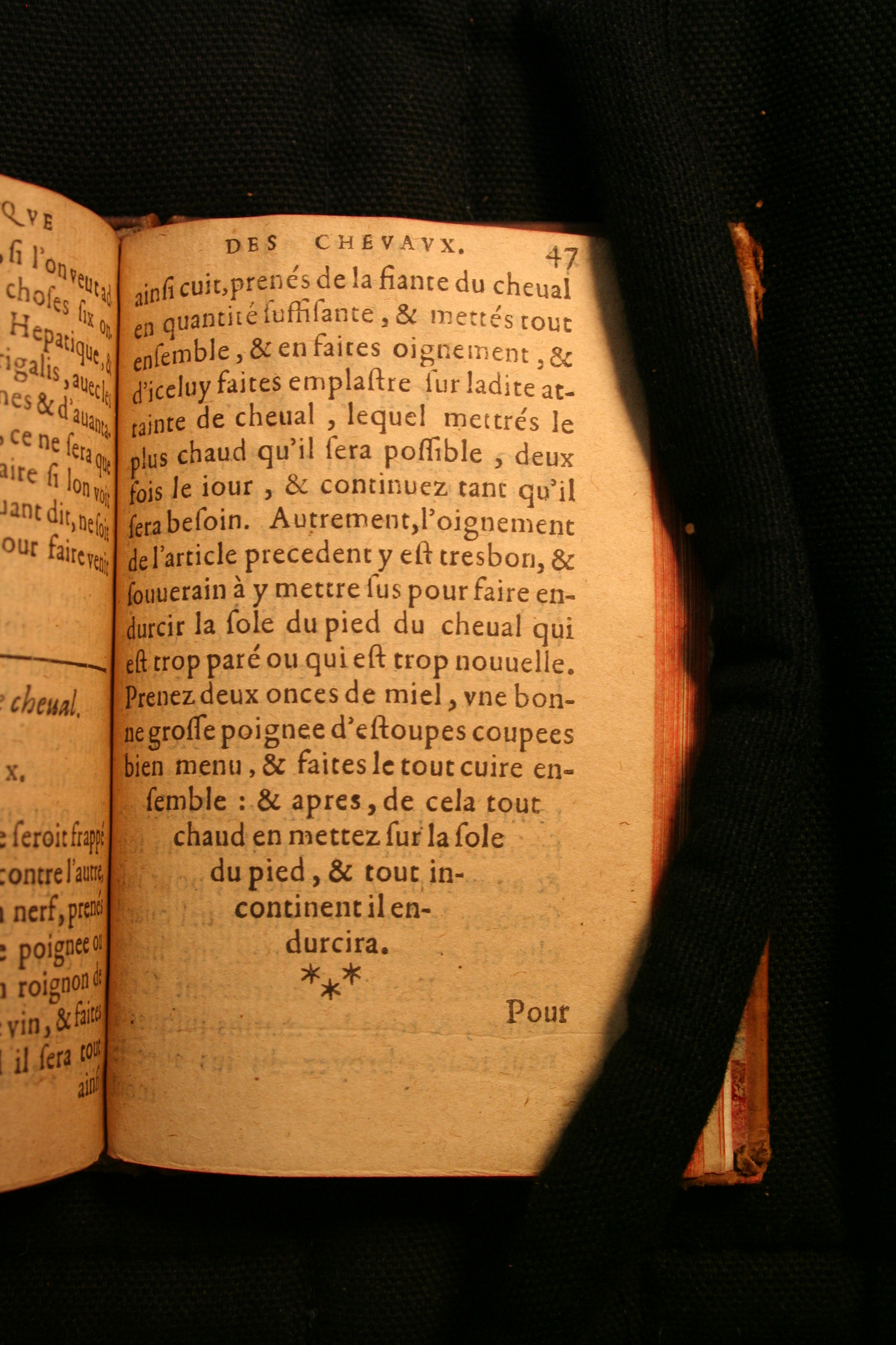 1591 - Pierre Chastaing et Benoît Rigaud - Trésor des bêtes chevalines - BM Bordeaux