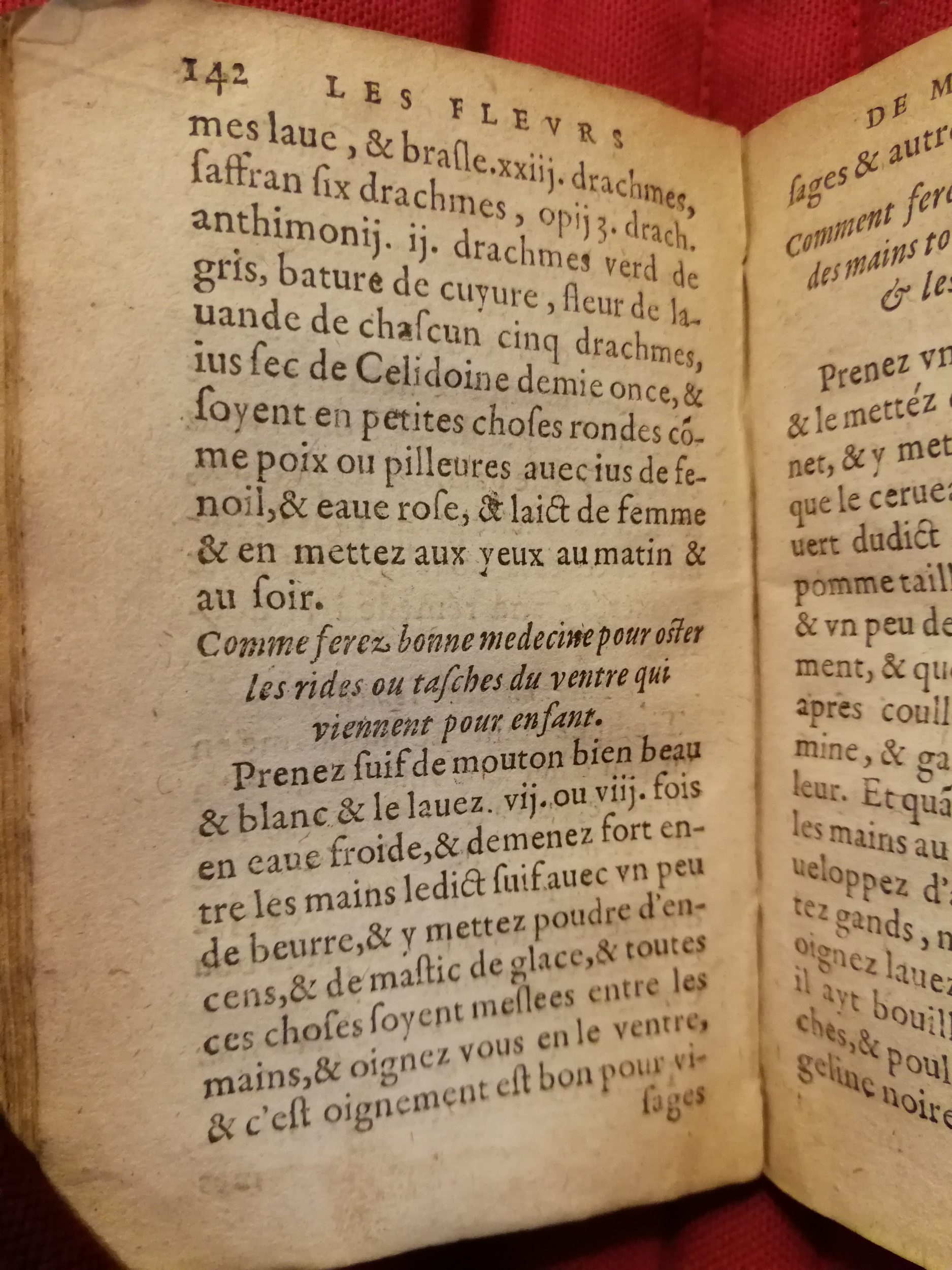 1586 - Benoît Rigaud - Trésor des fleurs et secrets de médecine - Sainte-Geneviève 1586 - Benoît Rigaud - Trésor des fleurs et secrets de médecine - Sainte-Geneviève