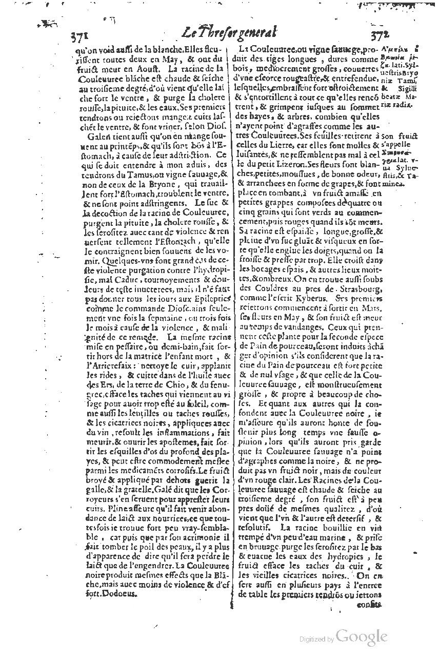 1616 - Étienne Gamonet - Grand trésor ou dispensaire - BSB Munich 1616 - Étienne Gamonet - Grand trésor ou dispensaire - BSB Munich