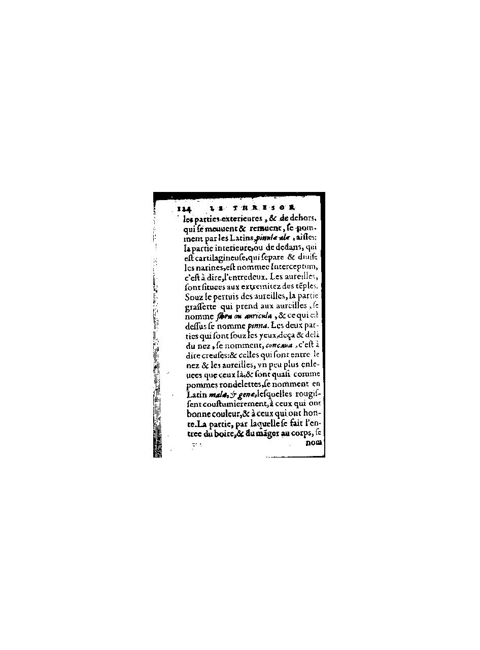 1578 - Benoît Rigaud - Trésor de médecine tant théorique que pratique - BnF