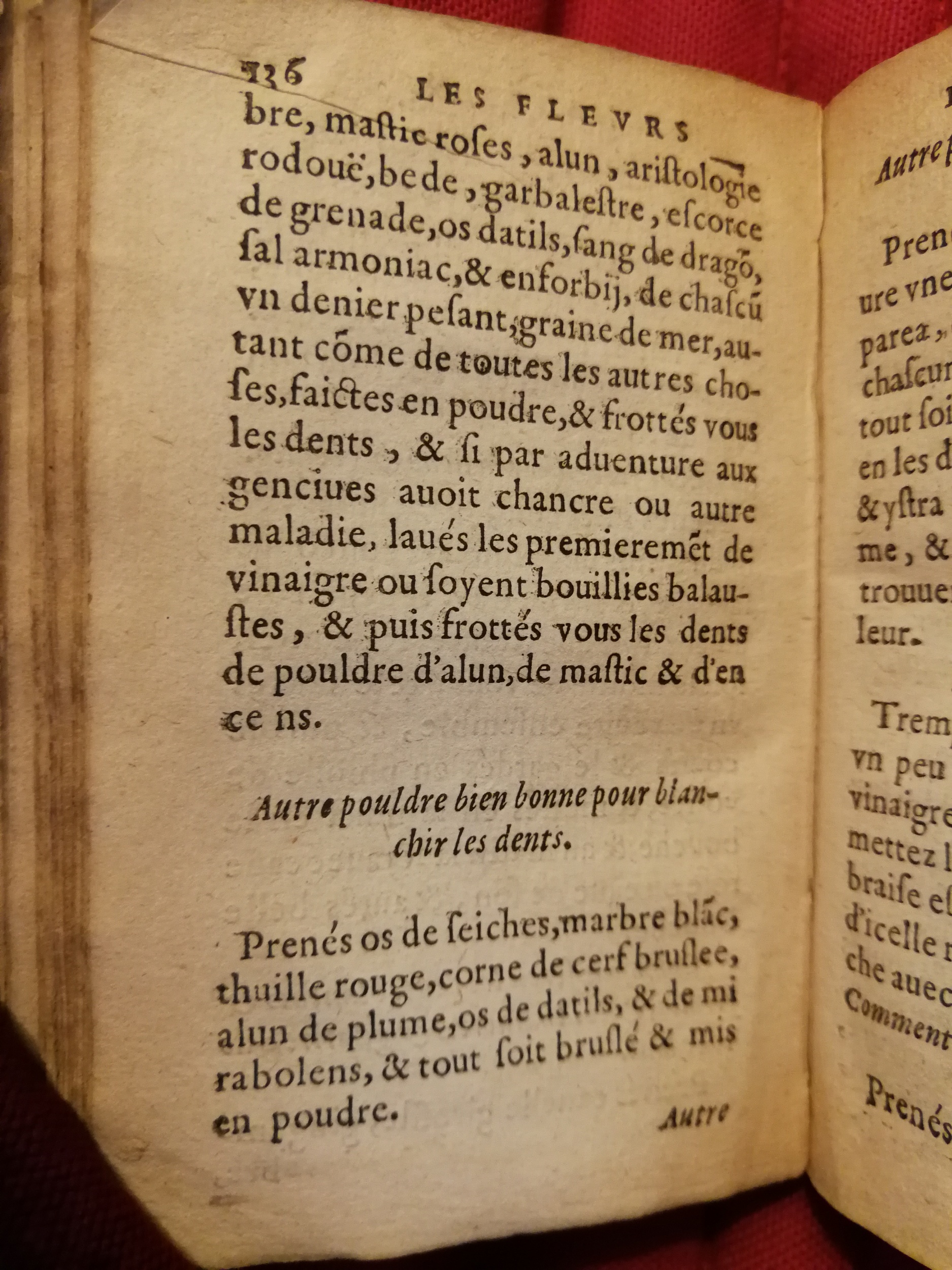 1586 - Benoît Rigaud - Trésor des fleurs et secrets de médecine - Sainte-Geneviève