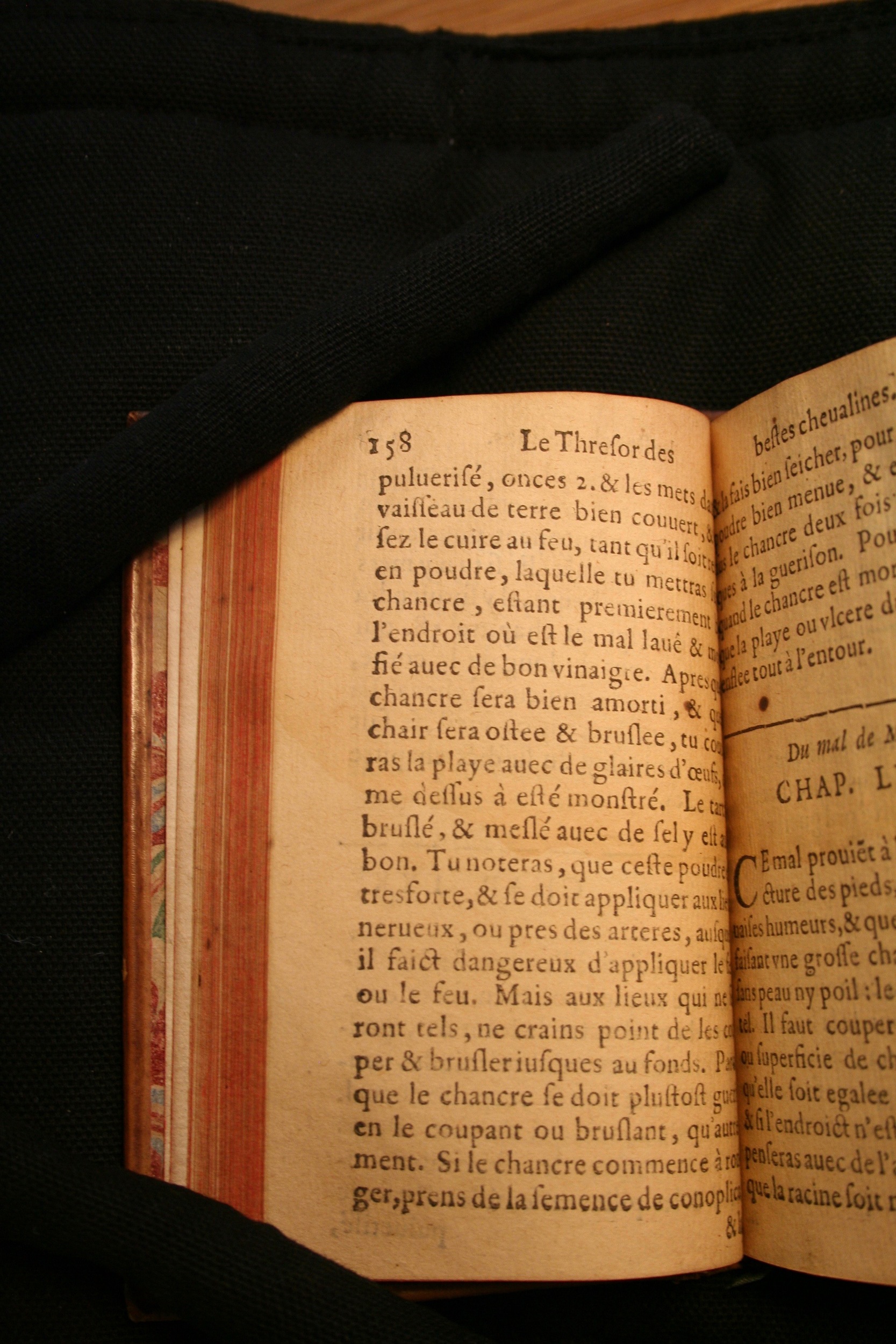 1591 - Pierre Chastaing et Benoît Rigaud - Trésor des bêtes chevalines - BM Bordeaux