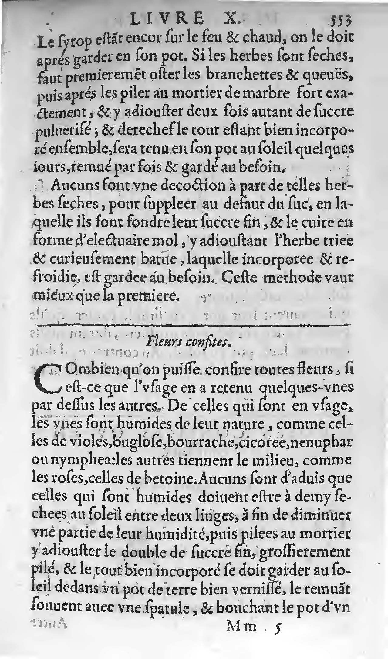 1607 - Étienne Servain et Jean Antoine Huguetan - Trésor de santé ou ménage de la vie humaine - BIU Santé