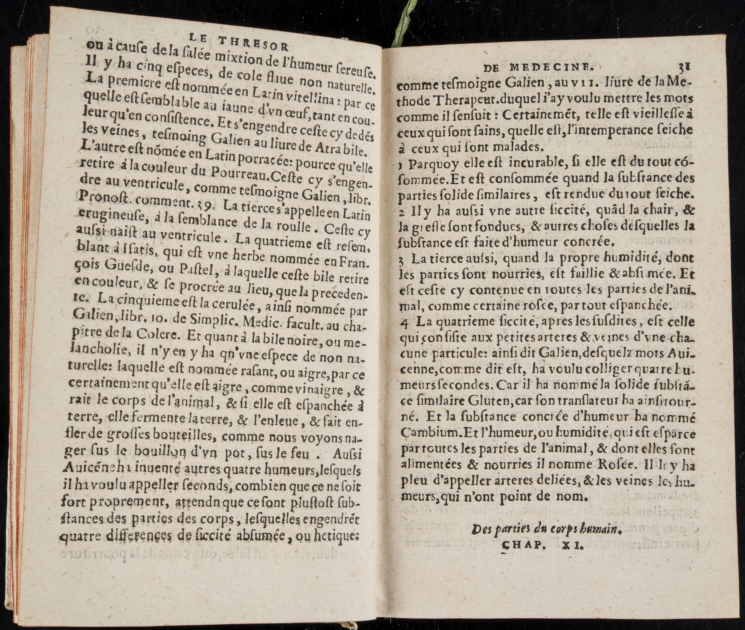 1560 - Nicolas Pelletier - Trésor de médecine - BM Poitiers