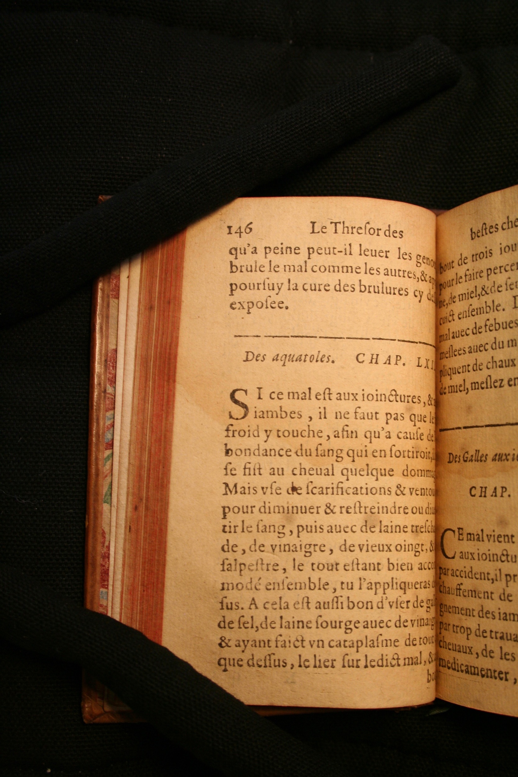 1591 - Pierre Chastaing et Benoît Rigaud - Trésor des bêtes chevalines - BM Bordeaux