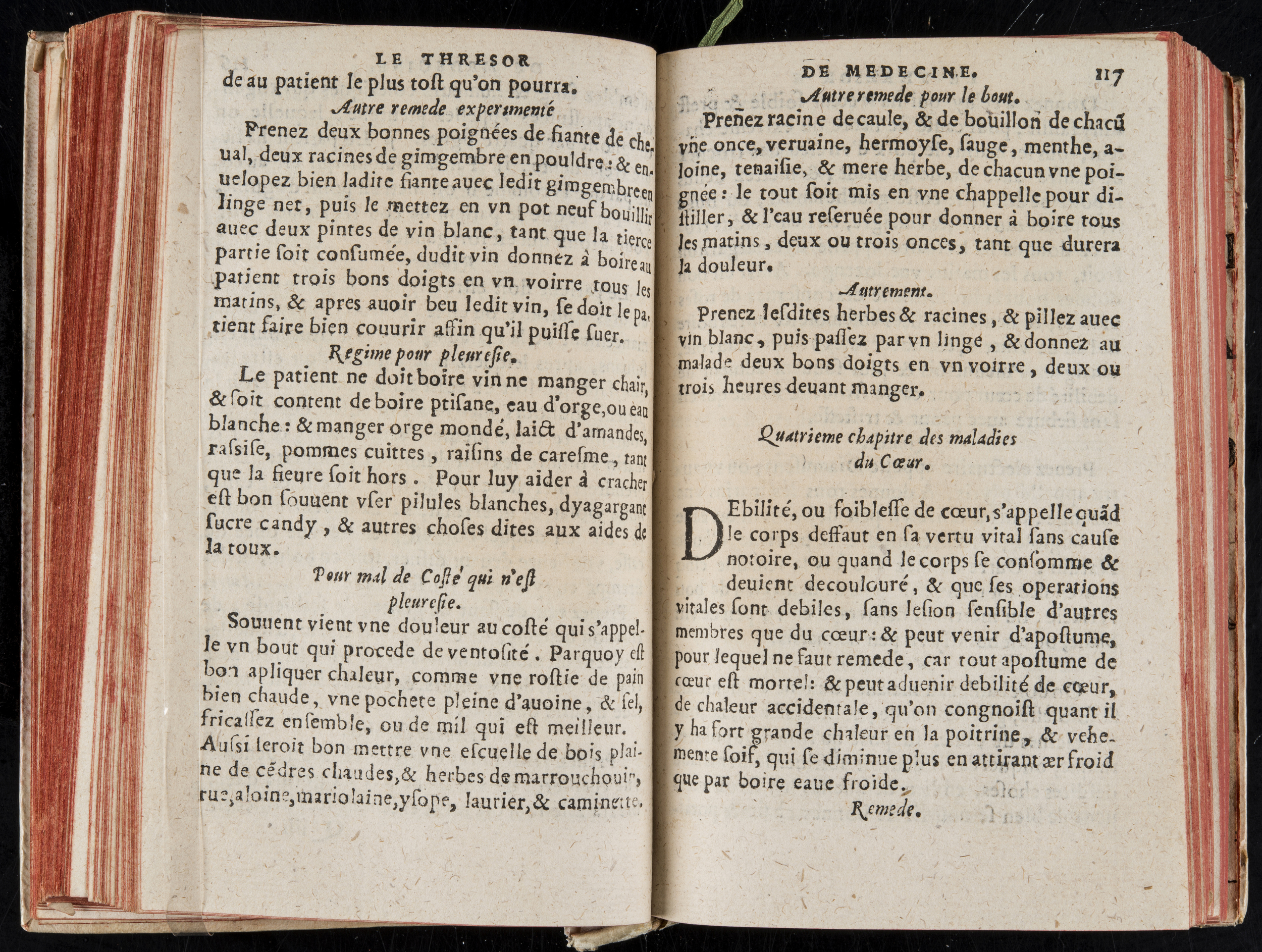 1560 - Nicolas Pelletier - Trésor de médecine - BM Poitiers