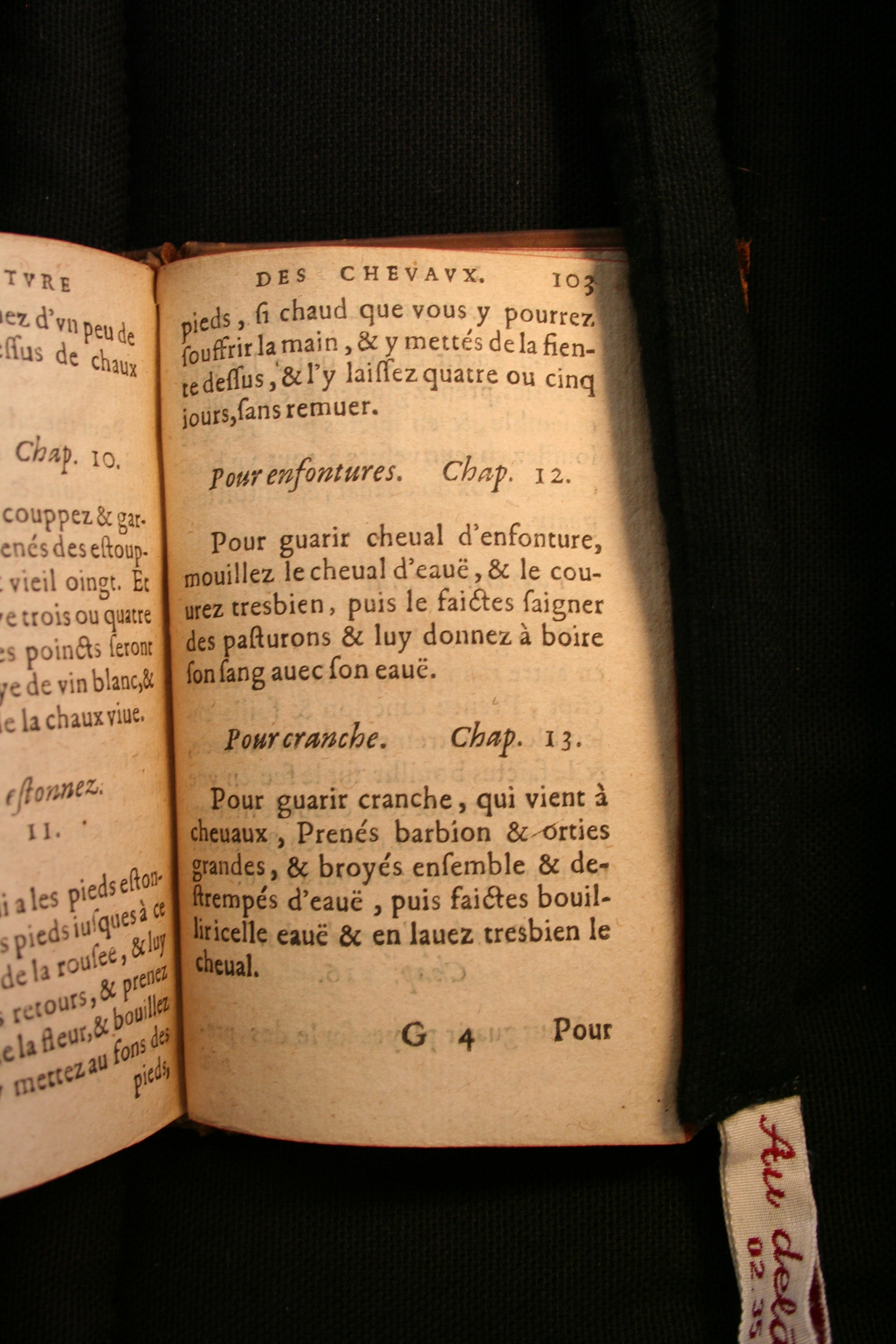 1591 - Pierre Chastaing et Benoît Rigaud - Trésor des bêtes chevalines - BM Bordeaux