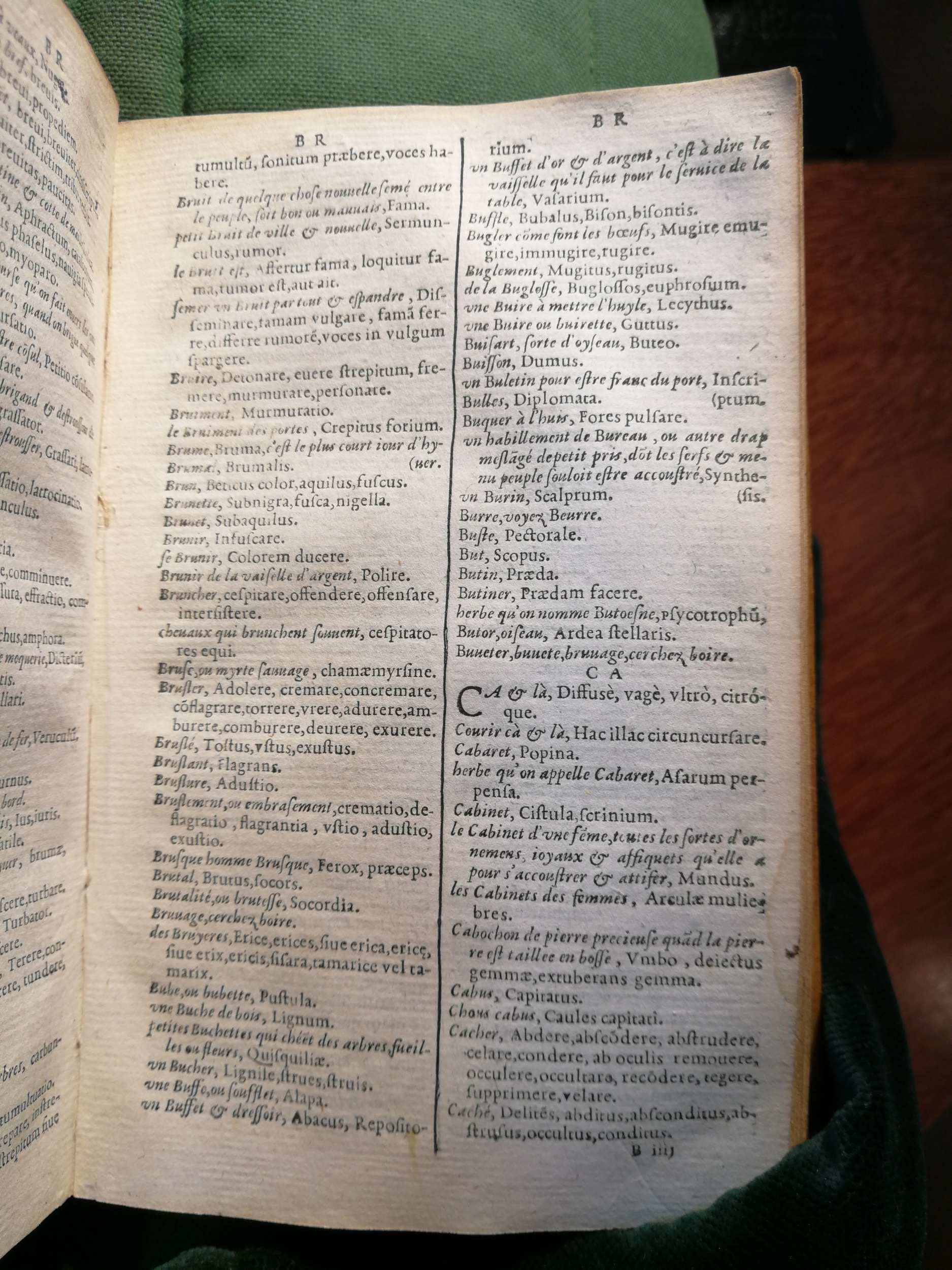 1597 - Martin le Mégissier - Trésor des mots et traits français - BnF