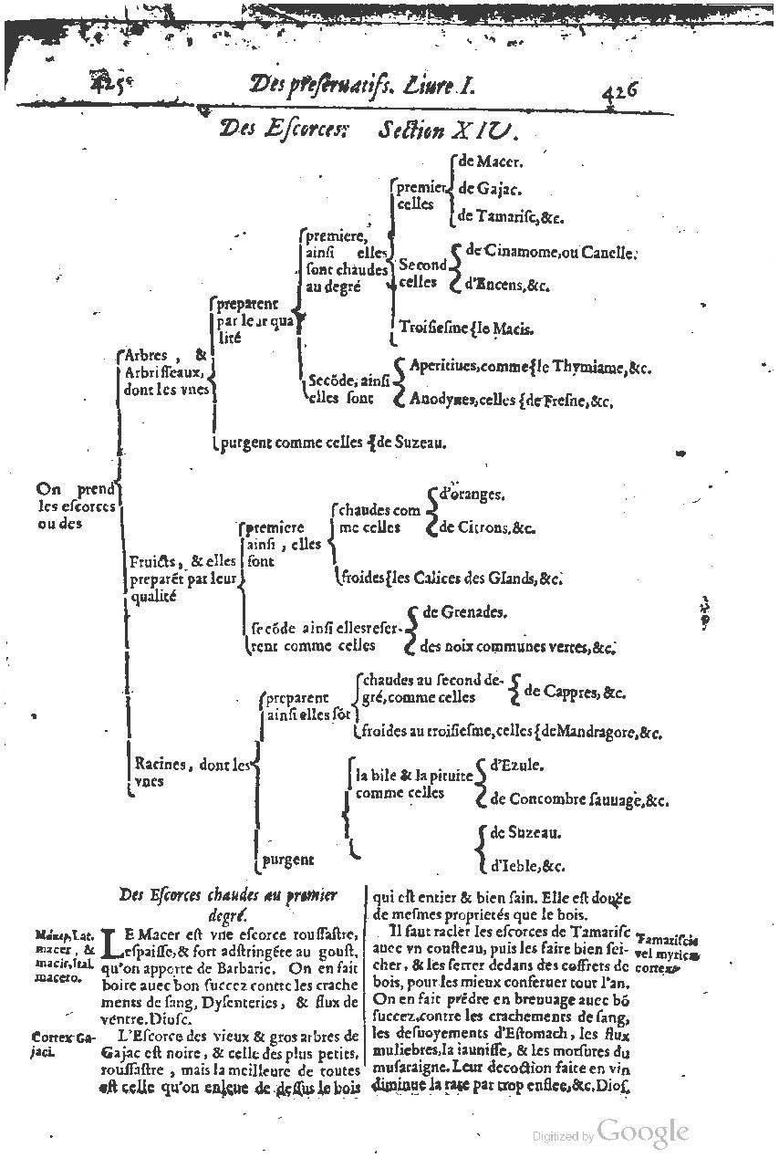 1616 - Étienne Gamonet - Grand trésor ou dispensaire - BSB Munich